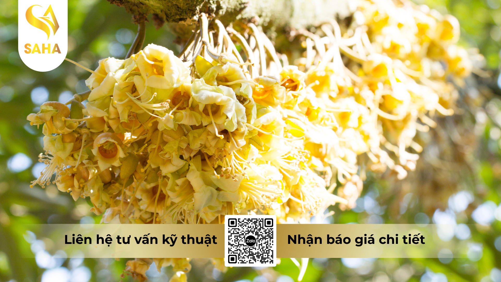 cong-dung-cua-phan-bon-vi-luong-abc-bobomic-hieu-calcium-boron.png