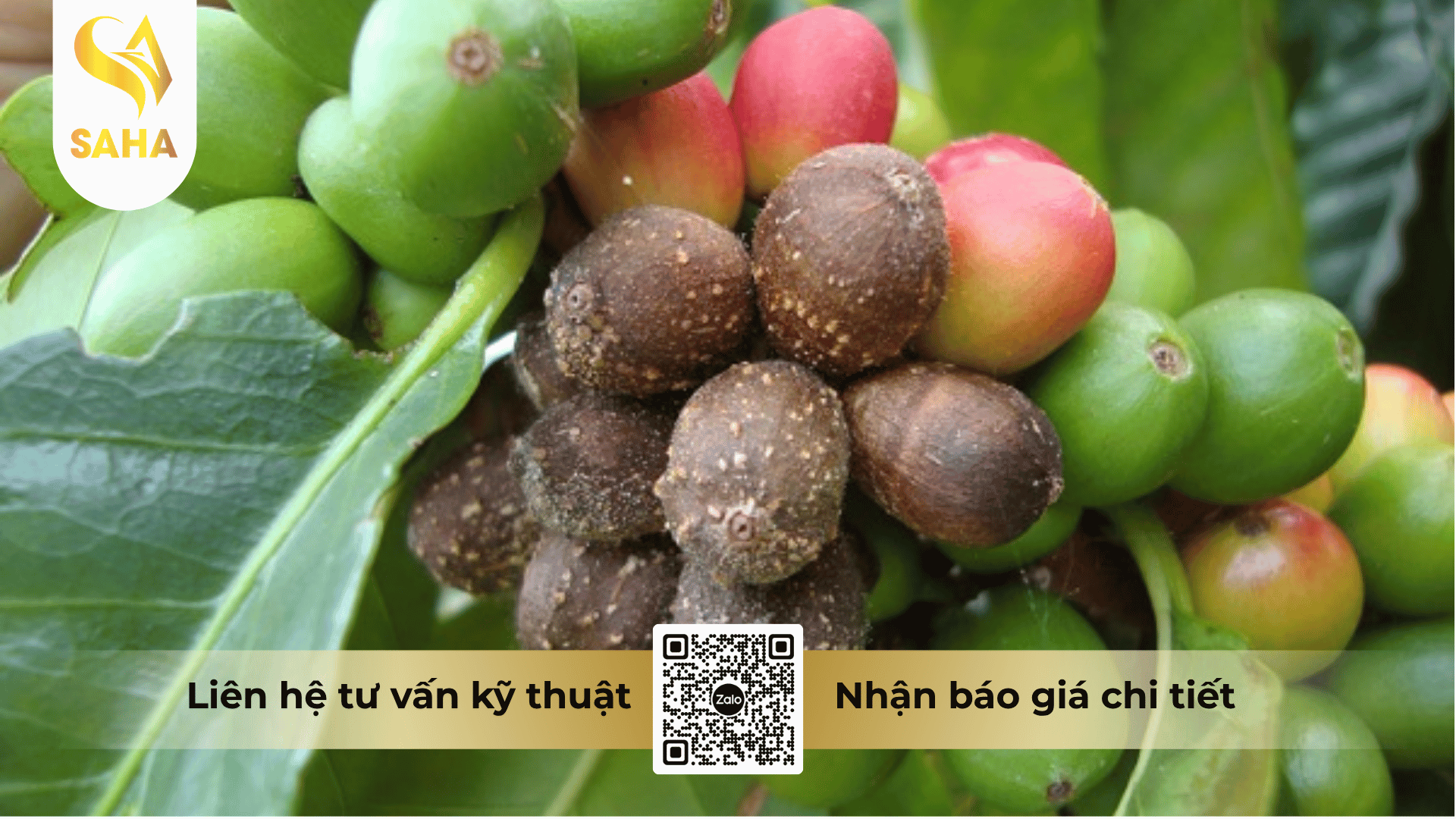 cong-dung-thuoc-tru-benh-azodife-325sc.png
