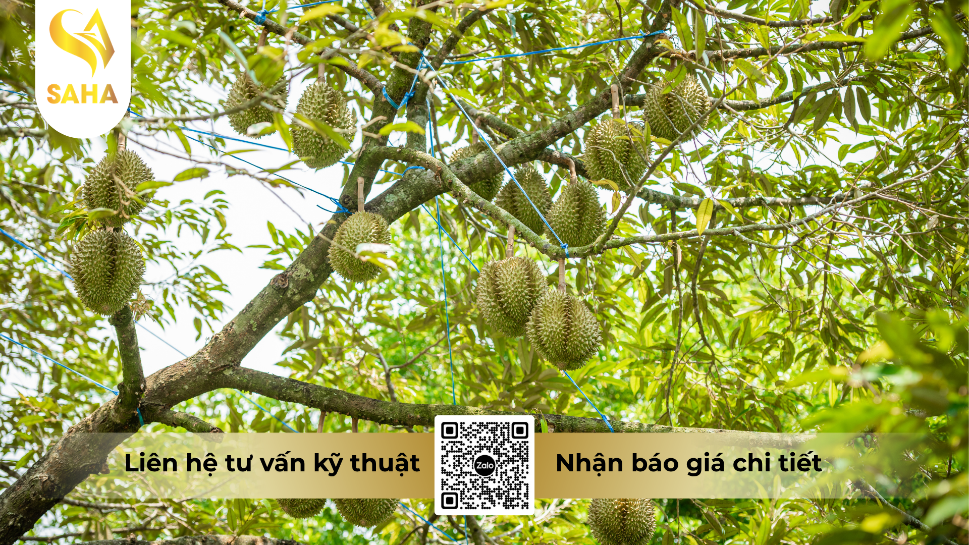 cau-hoi-thuong-gap-ve-phan-bon-la-huu-co-khoang-amino-enzyme-hieu-amino-enzyme-pro.png