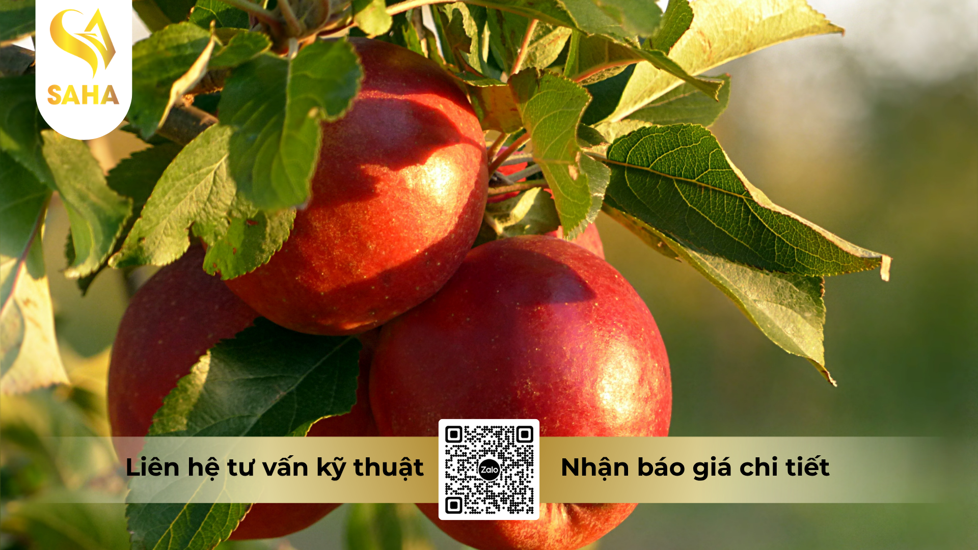 cong-dung-cua-phan-bon-la-huu-co-khoang-amino-enzyme-hieu-amino-enzyme-pro.png