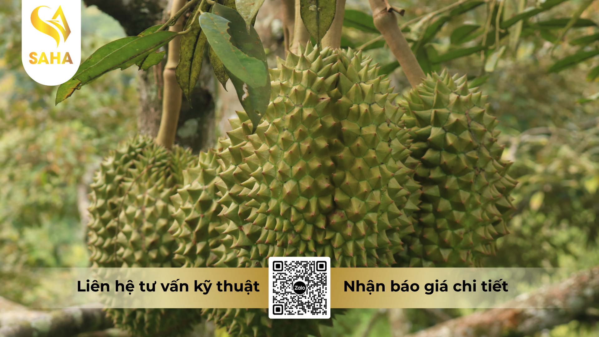 cau-hoi-thuong-gap-ve-phan-bon-huu-co-sataka-114-hieu-nutrical-b.png