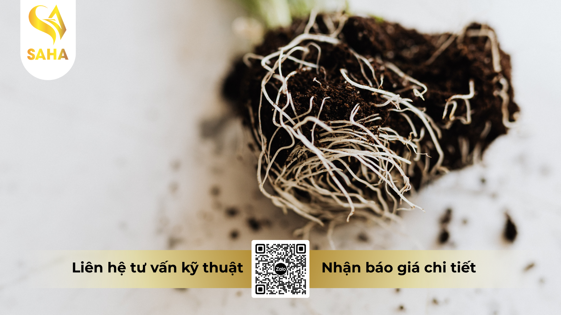 cong-dung-cua-phan-bon-huu-co-dh-casibo-hieu-sao-bien-happy.png