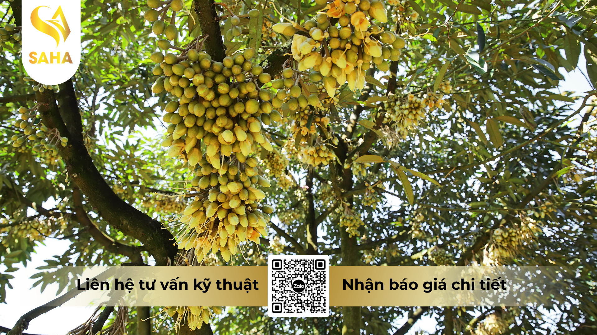 cong-dung-cua-phan-bon-la-halo-26-hieu-max-calcium-bo-360-2te.png