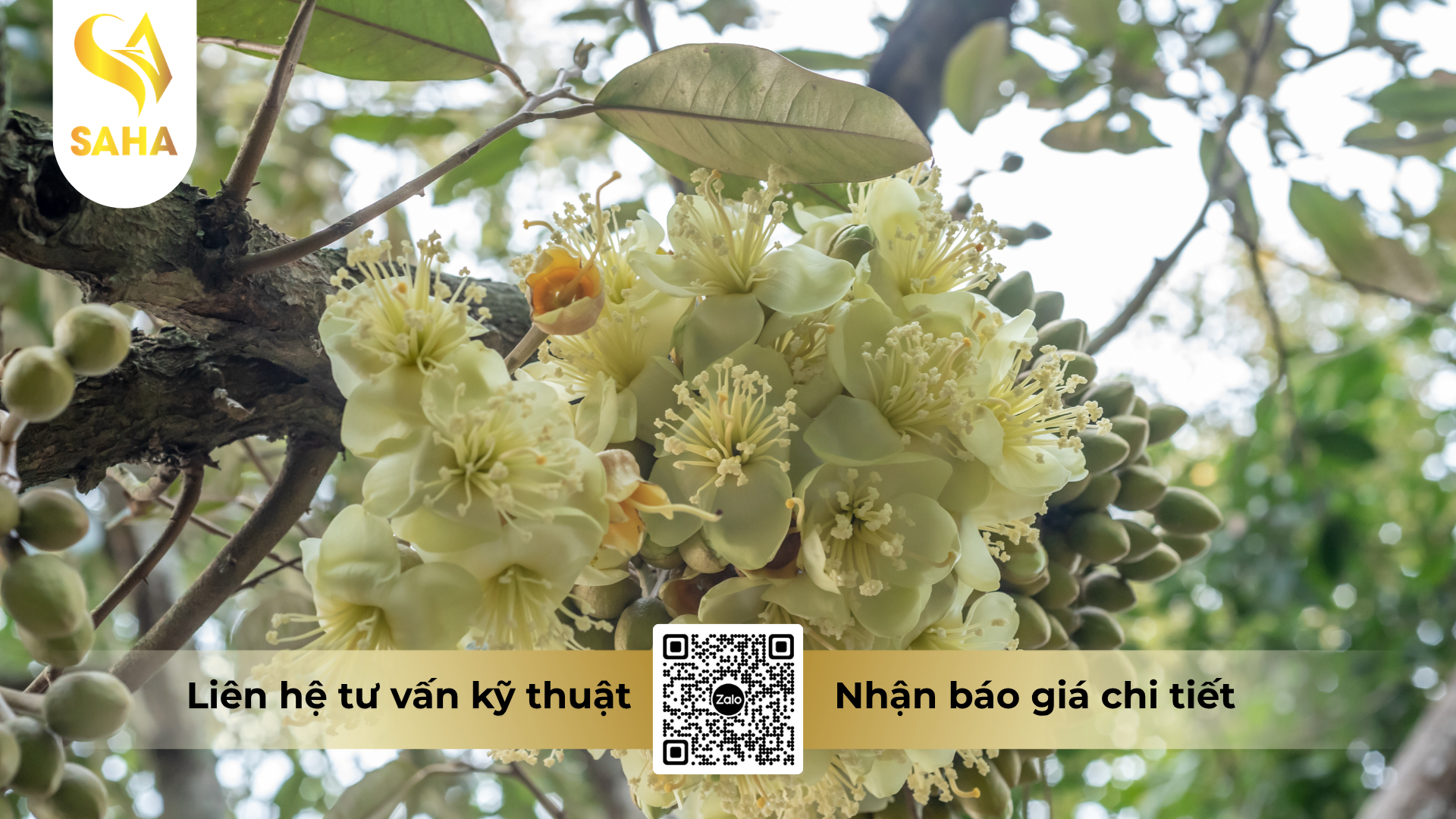 cau-hoi-thuong-gap-ve-phan-bon-la-halo-26-hieu-max-calcium-bo-360-2te.png