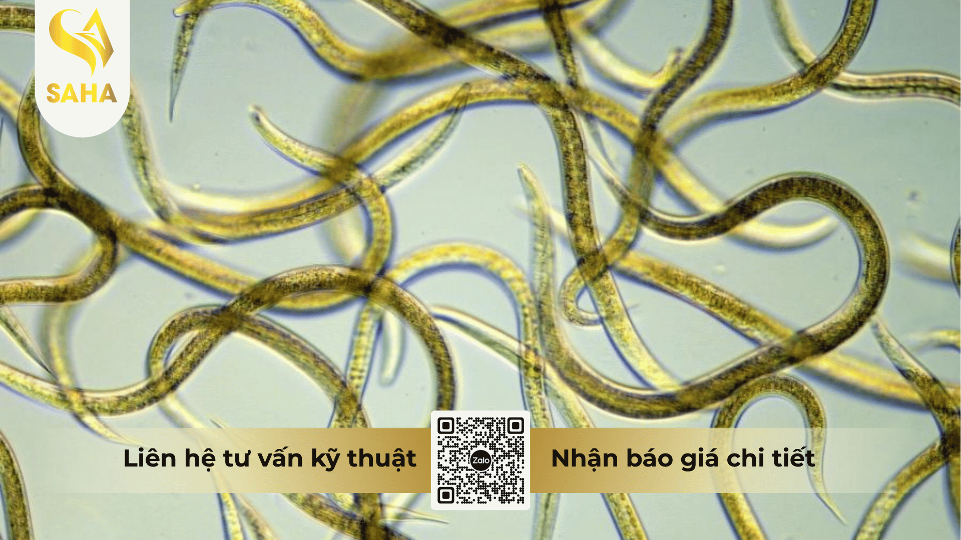 thong-tin-chung-thuoc-tru-sau-baryl-annong-85wp.png