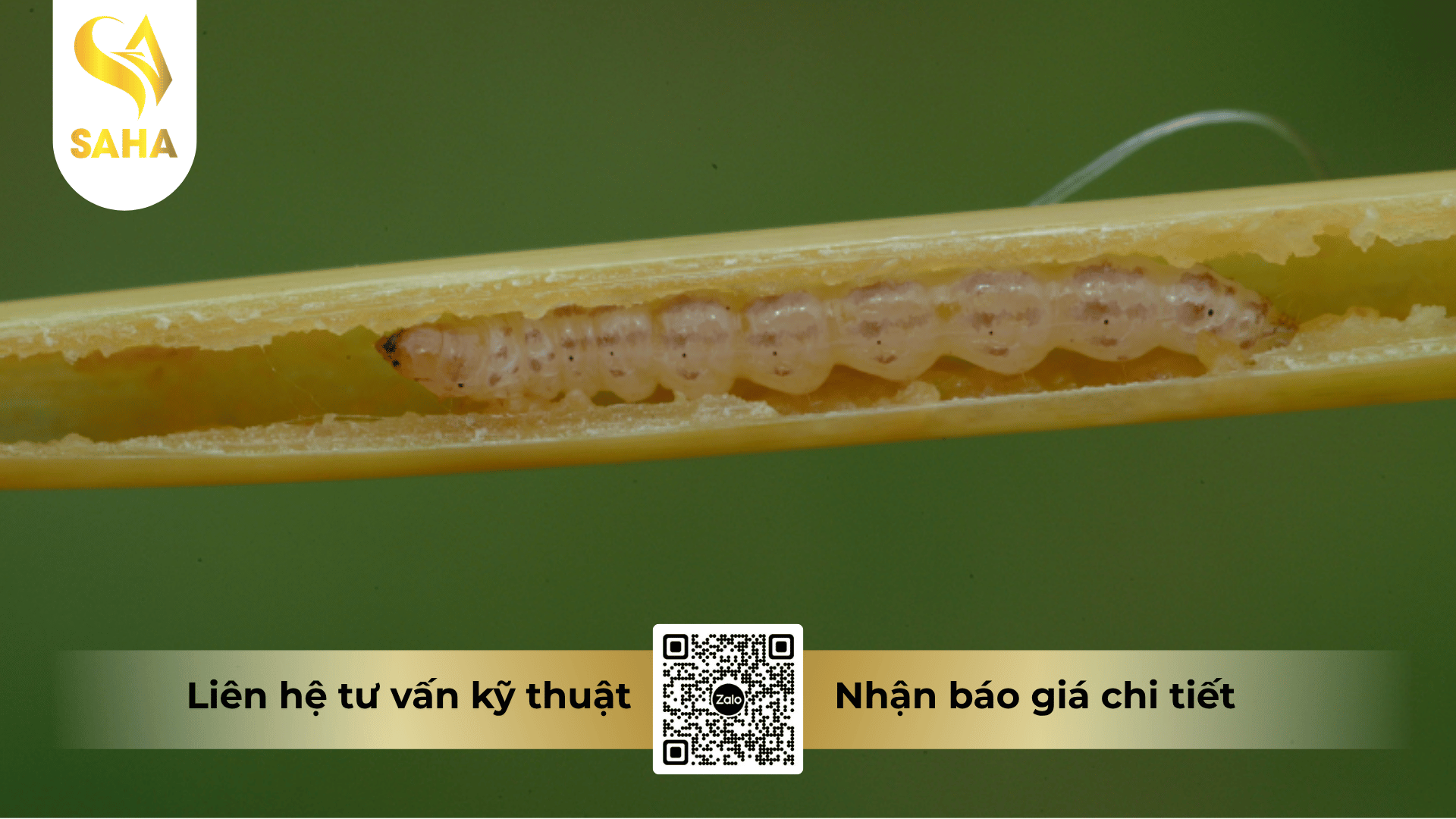 cong-dung-thuoc-tru-sau-baryl-annong-85wp.png