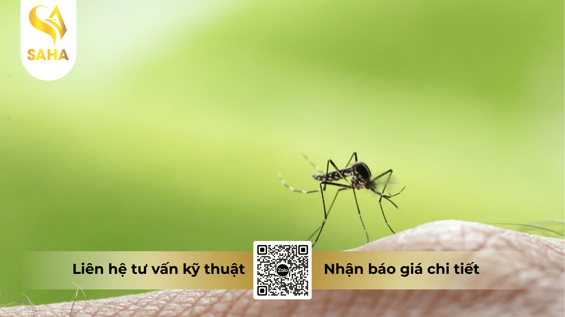 thong-tin-chung-che-pham-basto-11-5sc.png