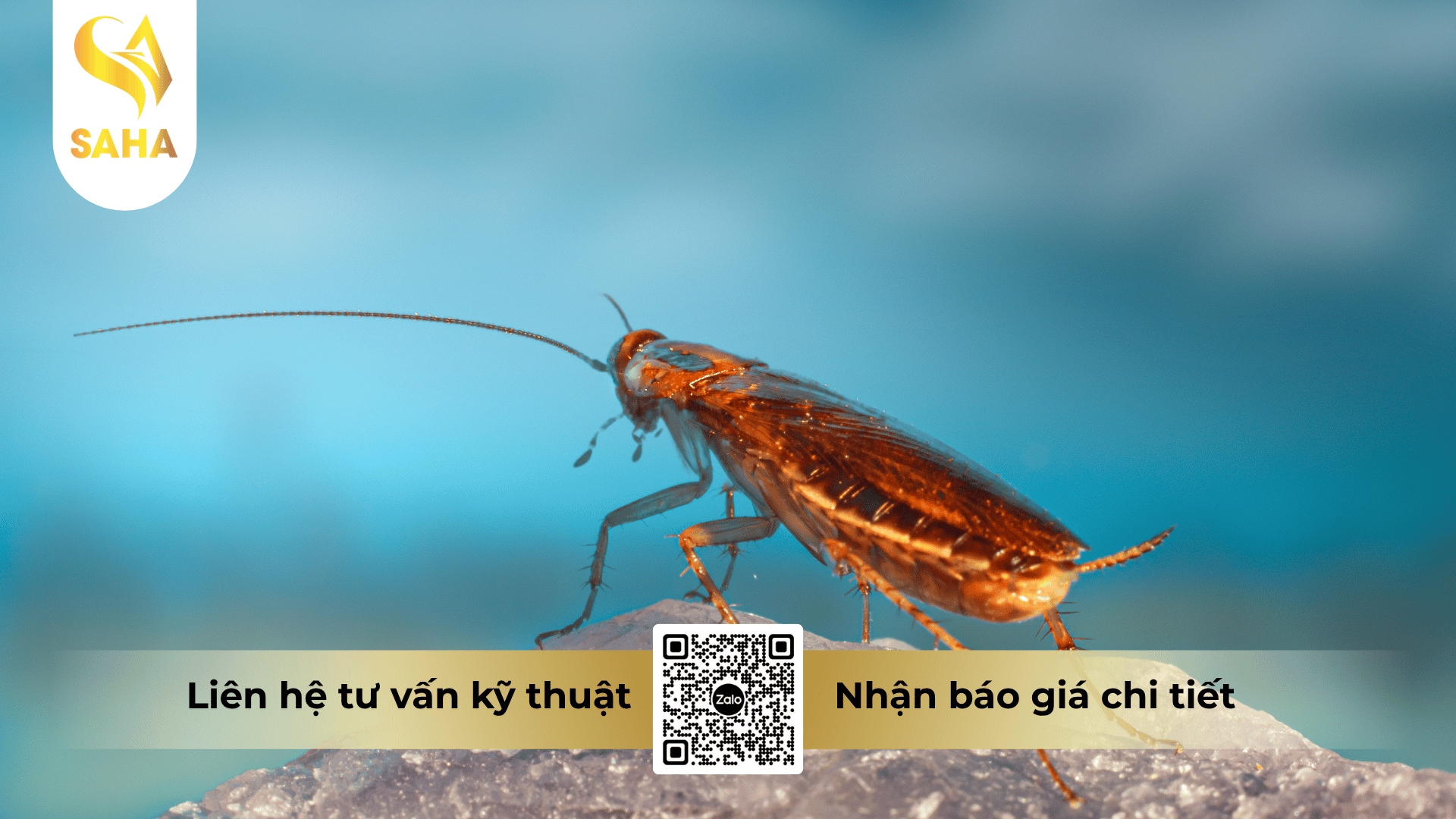cong-dung-che-pham-basto-11-5sc.png