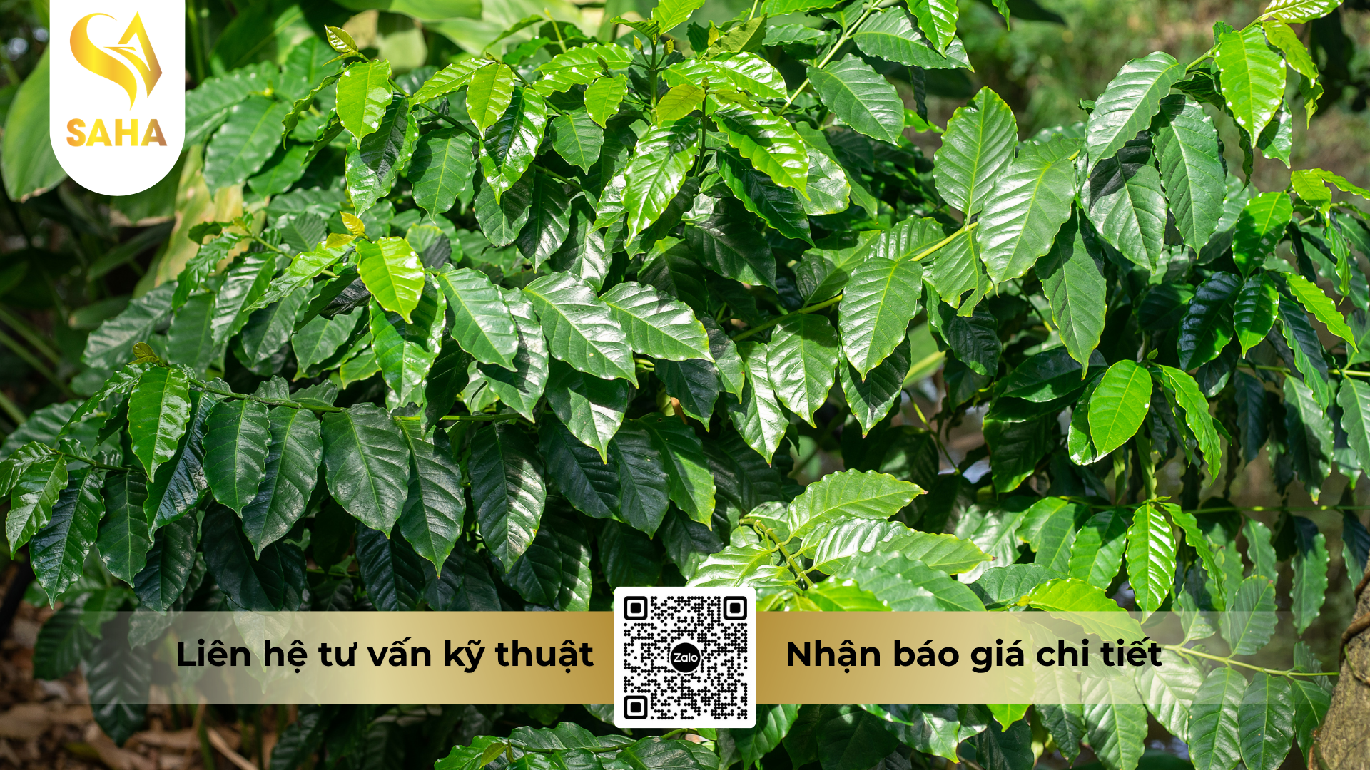 cong-dung-cua-phan-bon-la-hsc-703-hieu-grow-10-10-15-ca-mg.png