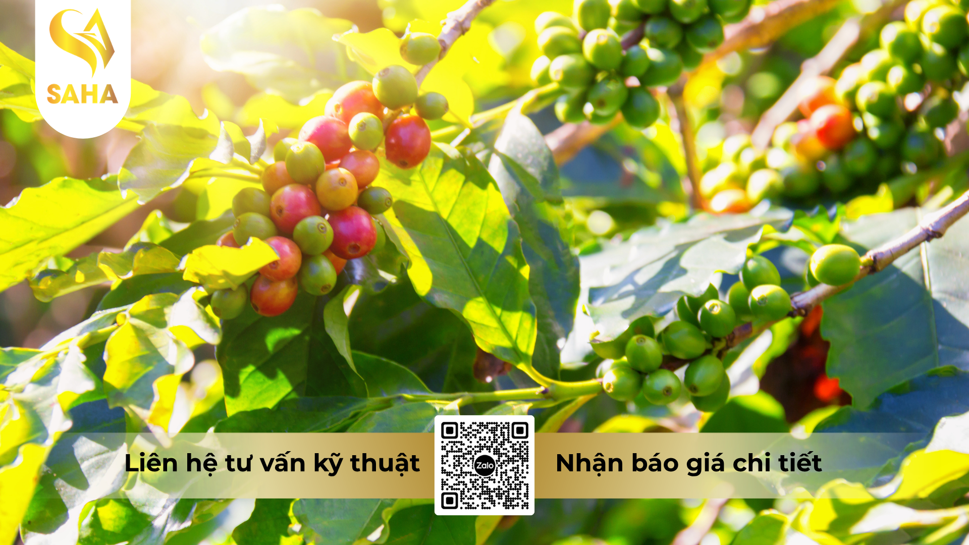 cau-hoi-thuong-gap-ve-phan-bon-la-hsc-703-hieu-grow-10-10-15-ca-mg.png