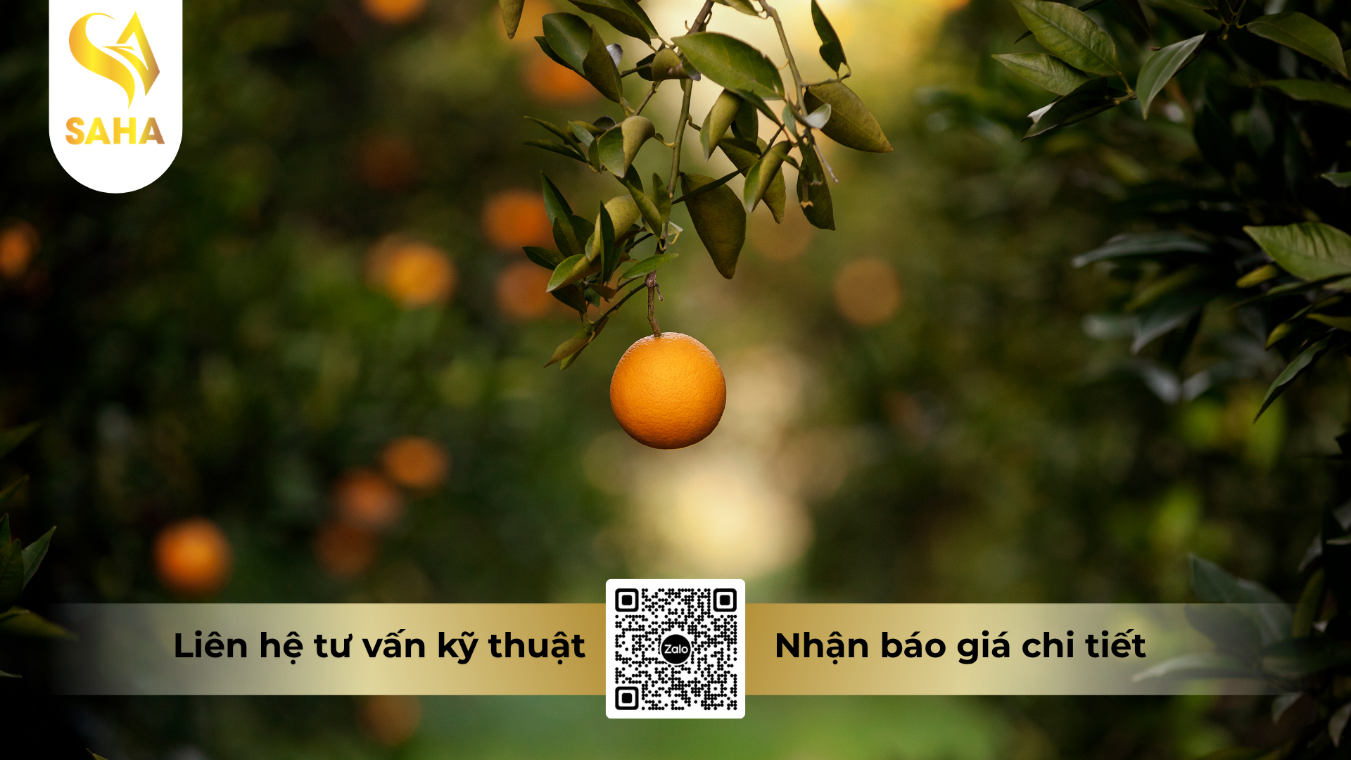 cau-hoi-thuong-gap-ve-phan-bon-la-hsc-qua-ngot-dep-hieu-fk8-te-naa.png