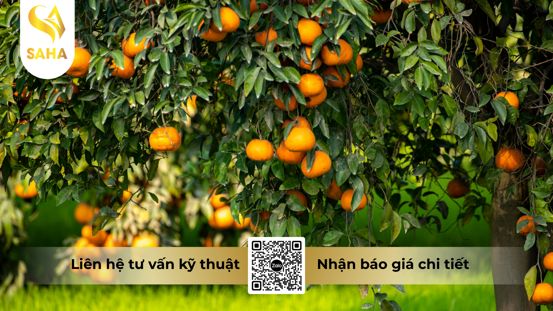 cau-hoi-thuong-gap-ve-phan-bon-la-hsc-npk-4-8-10-hieu-fruitmax-4-8-10.png