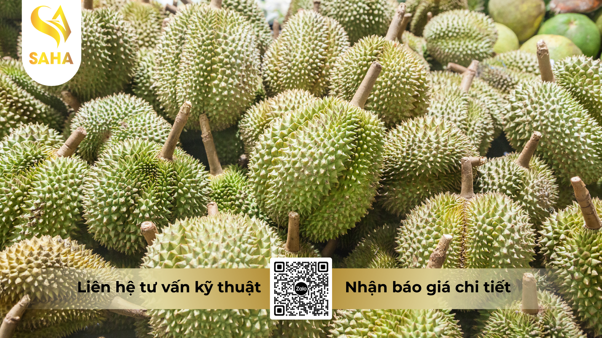 cong-dung-cua-phan-bon-la-dam-sinh-hoc-naturcal-aminaxton-24-fluid.png