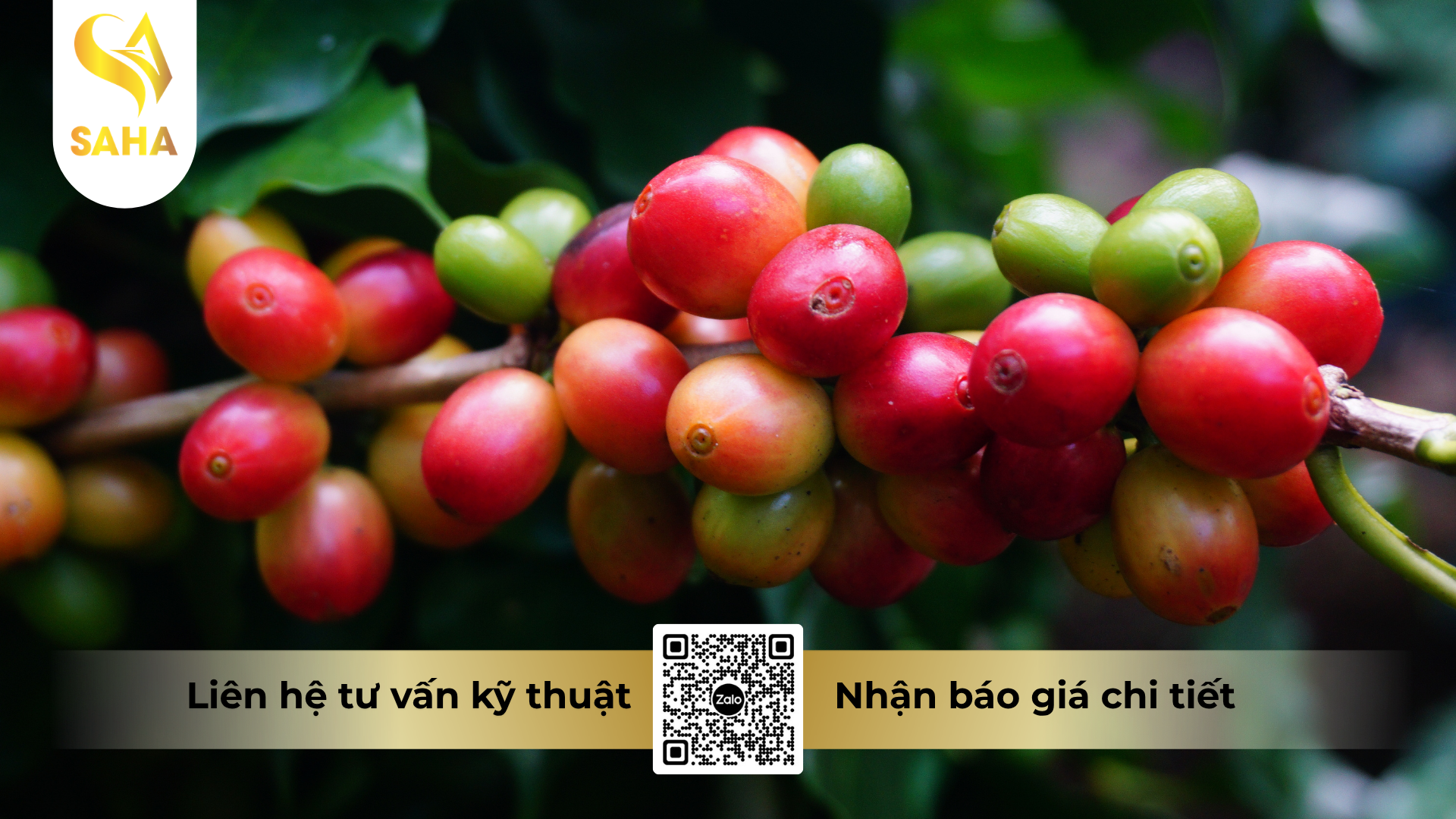 cau-hoi-thuong-gap-ve-phan-bon-la-naturcal-aminaxton-24-fluid-500ml.png