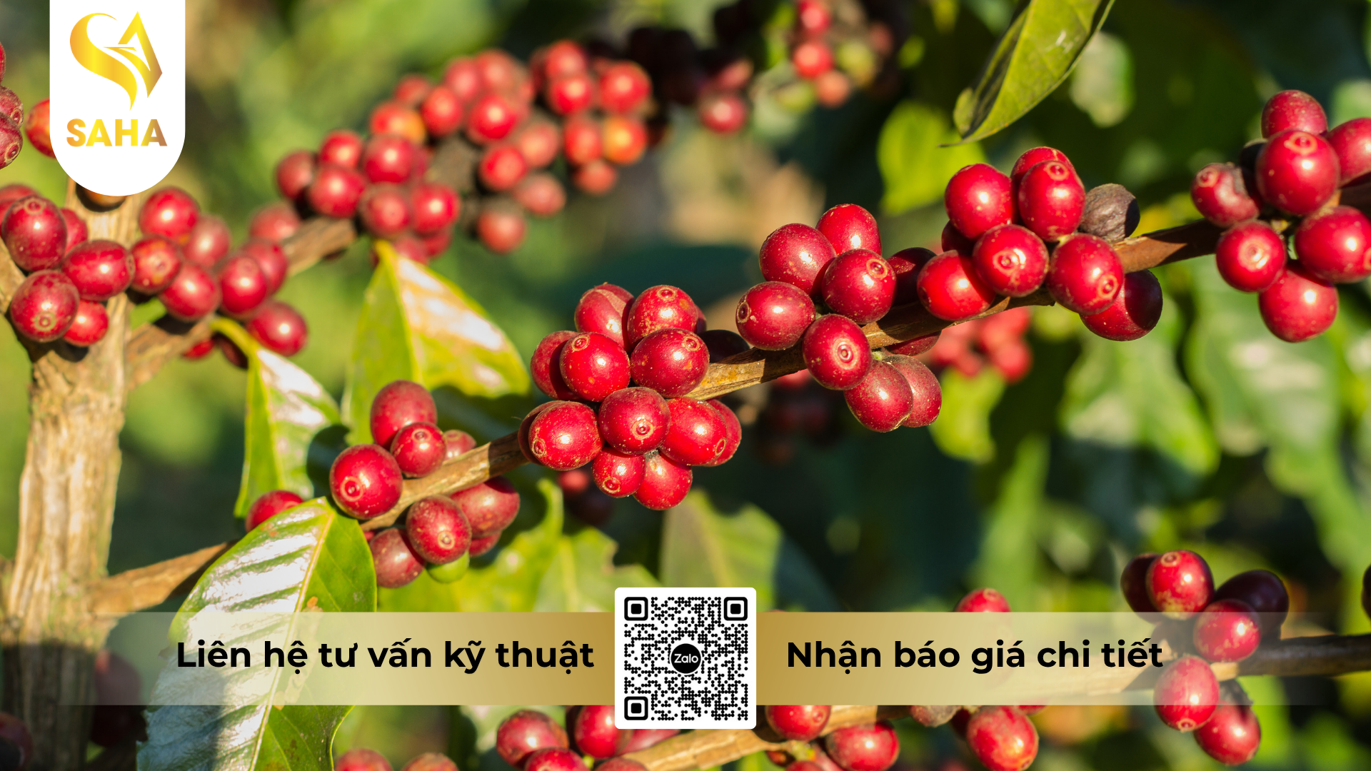 cong-dung-cua-phan-bon-la-naturcal-aminaxton-24-fluid-500ml.png