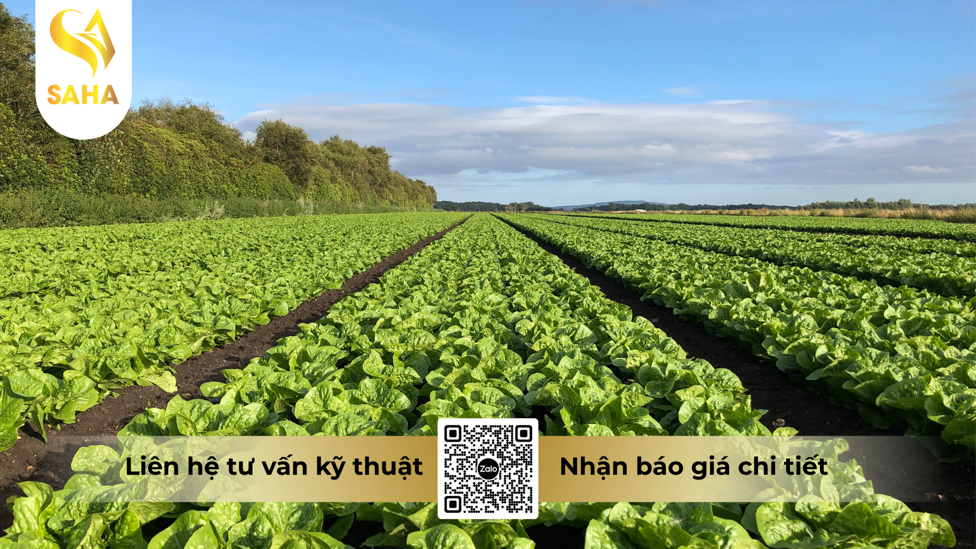 cau-hoi-thuong-gap-ve-phan-bon-la-nbc-gli-k47-hieu-k-folizor-7-6-47-3s-te.png