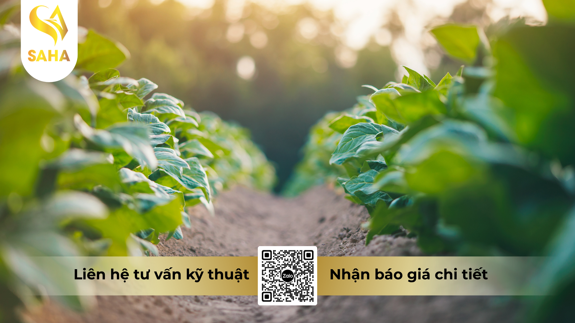 cong-dung-cua-phan-bon-la-nbc-gli-k47-hieu-k-folizor-7-6-47-3s-te.png