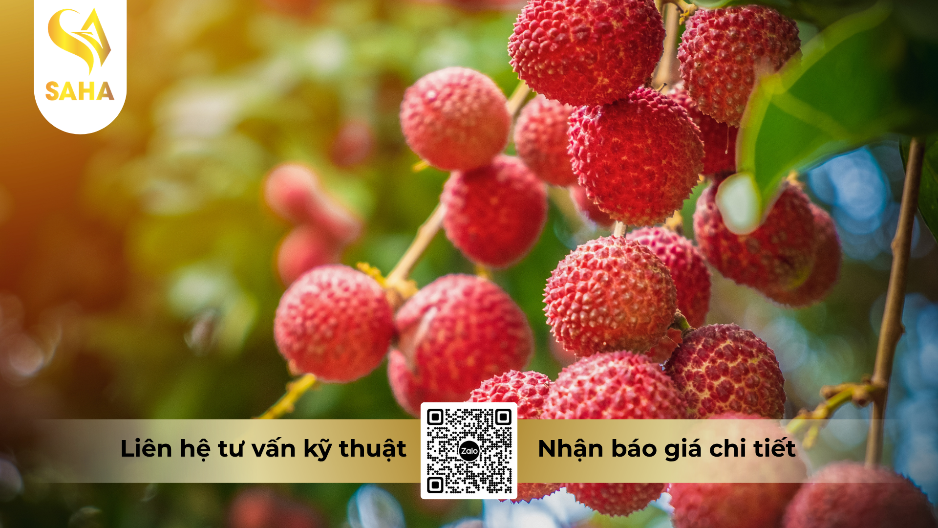 cong-dung-cua-phan-bon-la-nbc-gli-k47-hieu-k-rice-7-6-47-3s-zn-te.png