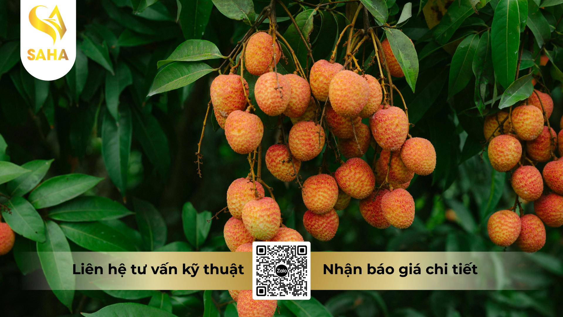 cau-hoi-thuong-gap-ve-phan-bon-la-nbc-gli-k47-hieu-k-rice-7-6-47-3s-zn-te.png
