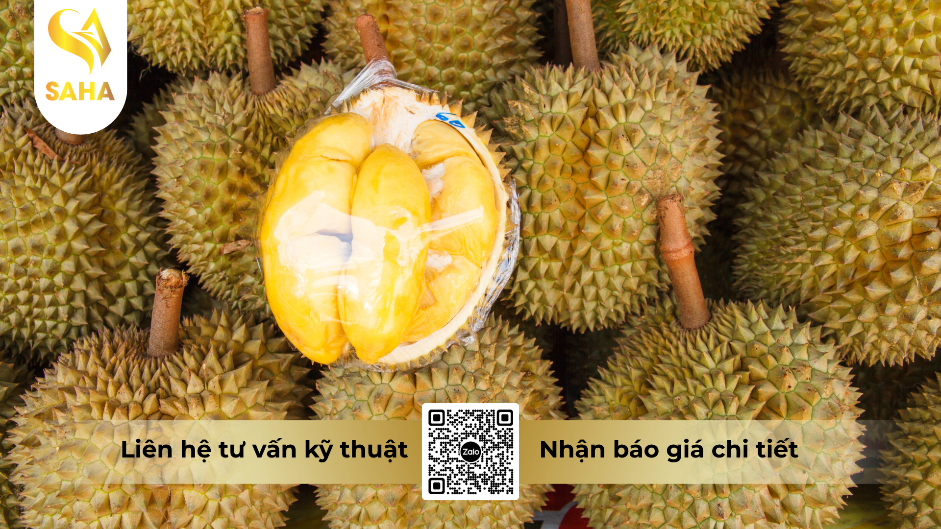 cong-dung-cua-phan-bon-la-nbc-gli-p30-hieu-klanfert-10-30-25-mg-zn-te.png