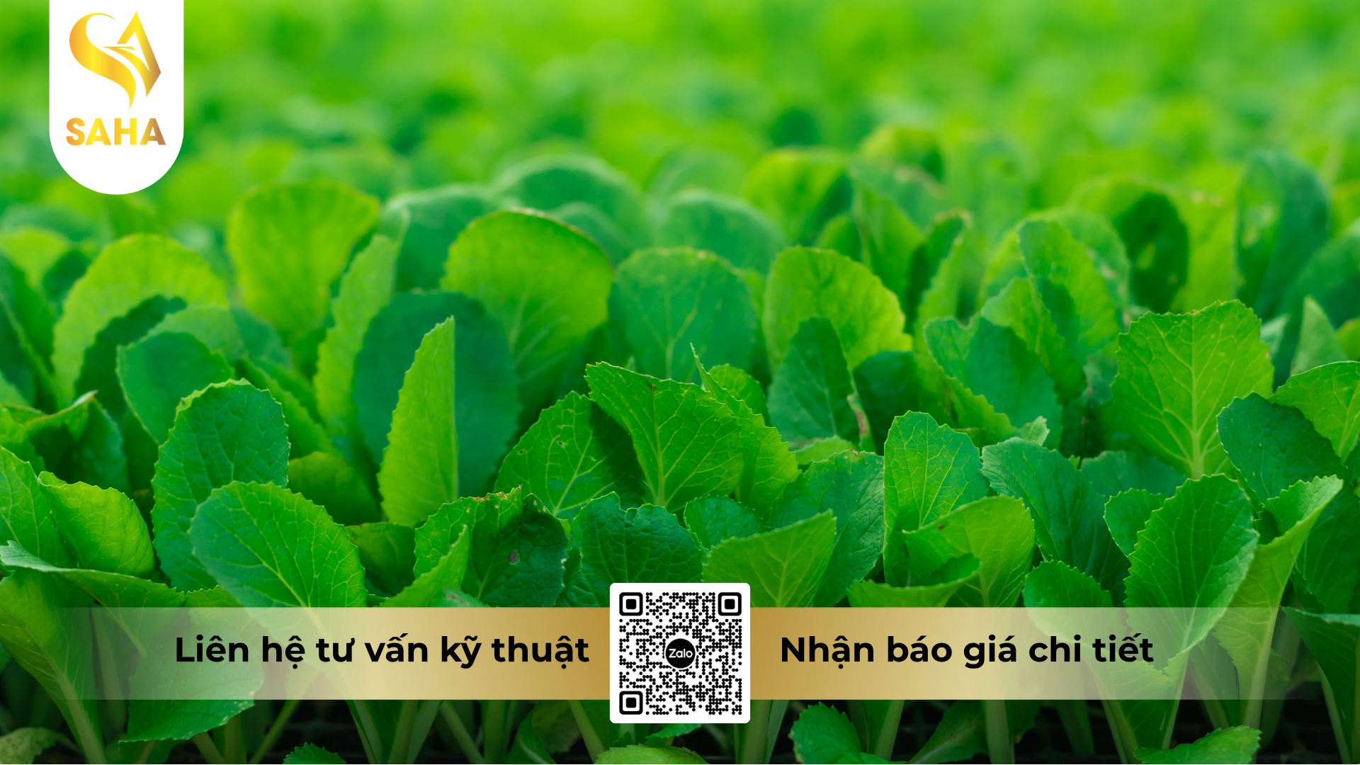 cau-hoi-thuong-gap-ve-phan-bon-la-omri-fish-amin-fish-uni-farm-hieu-f-amino-k-500ml.png