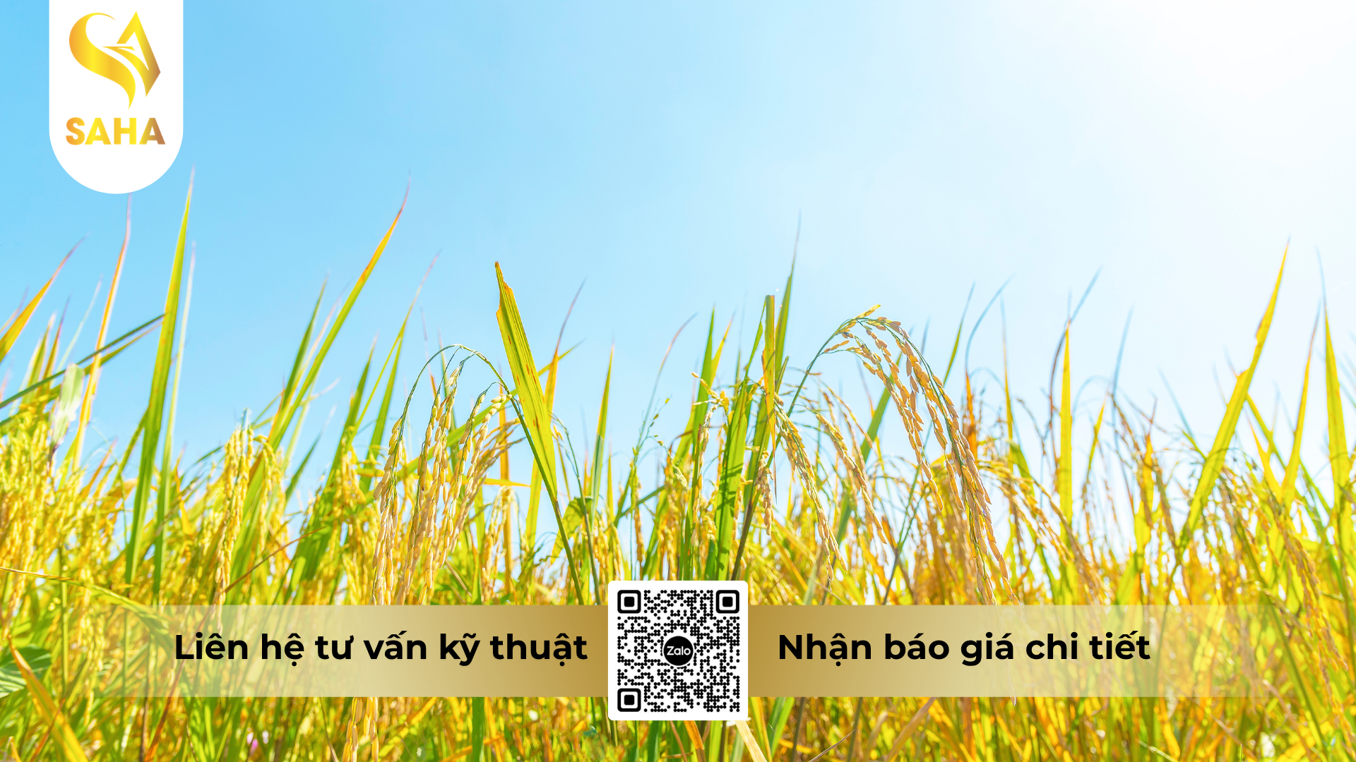 cong-dung-cua-phan-bon-la-omri-fish-amin-fish-uni-farm-hieu-amino-turkey.png