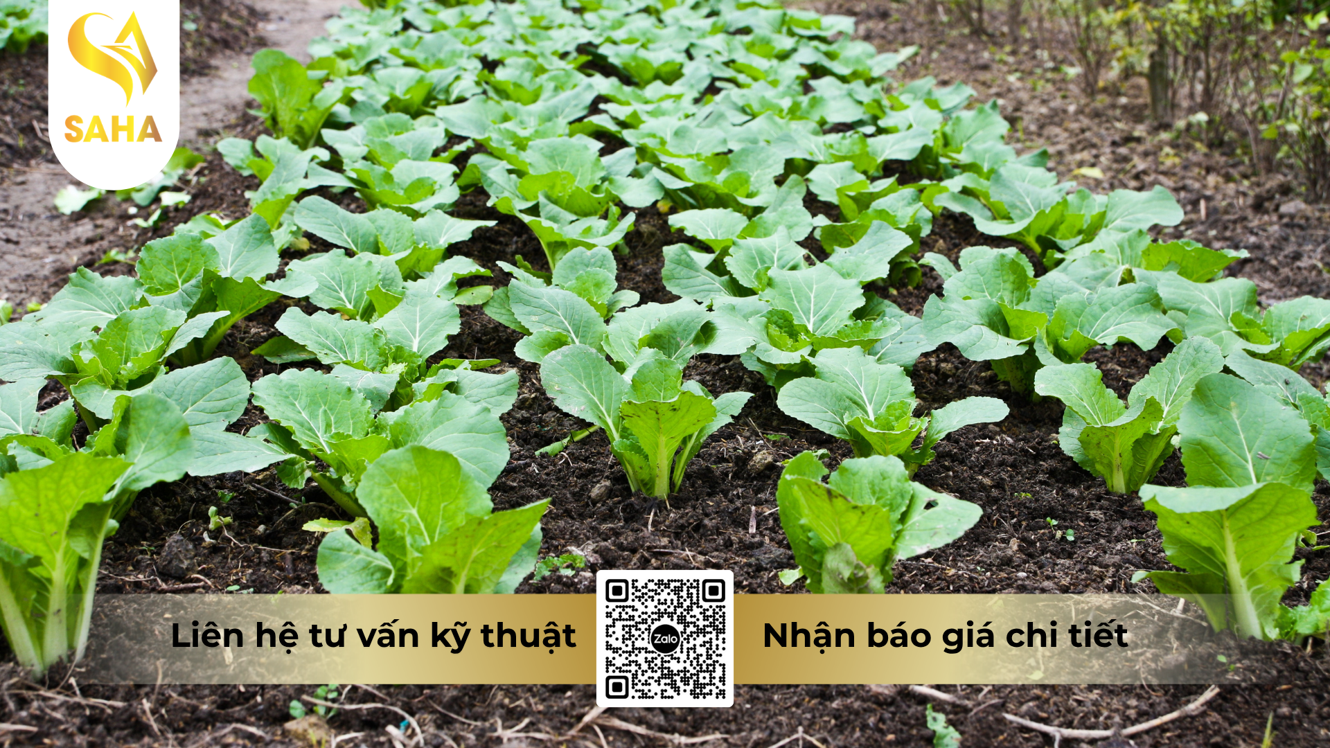 cau-hoi-thuong-gap-ve-phan-bon-la-omri-fish-amin-fish-uni-farm-hieu-amino-turkey.png