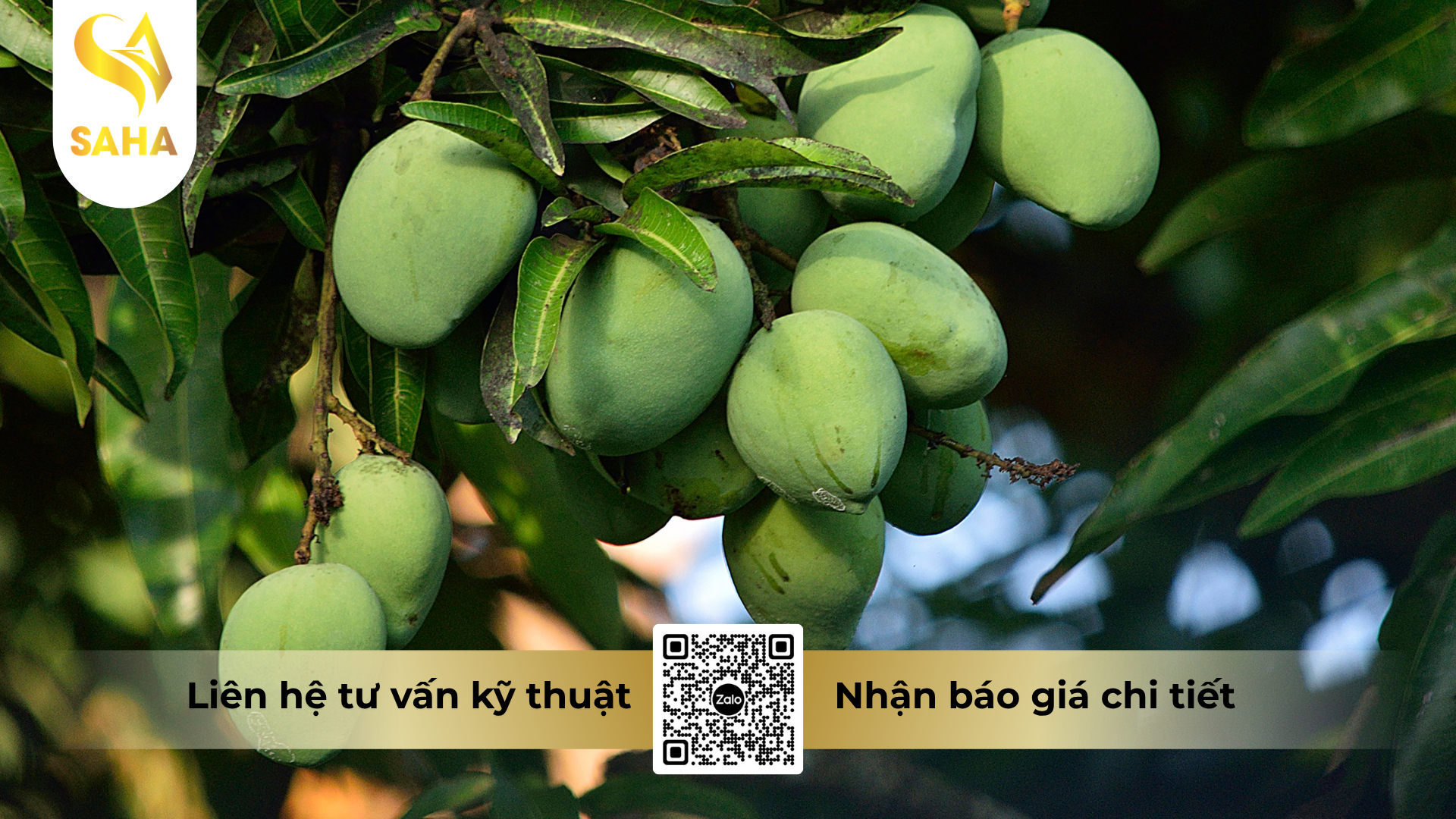 cong-dung-cua-phan-bon-la-omri-fish-amin-fish-uni-farm-hieu-f-amino-k-1l.png
