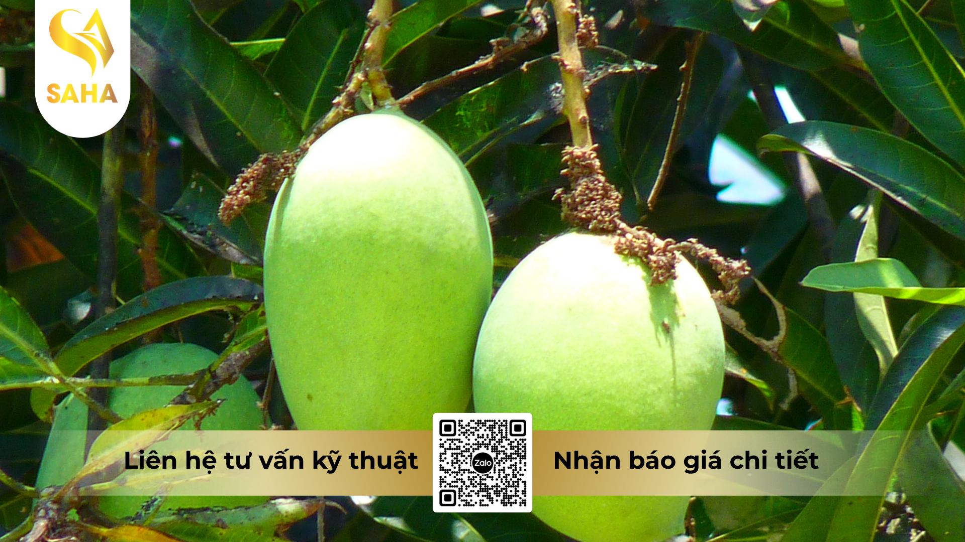 cau-hoi-thuong-gap-ve-phan-bon-la-omri-fish-amin-fish-uni-farm-hieu-f-amino-k-1l.png
