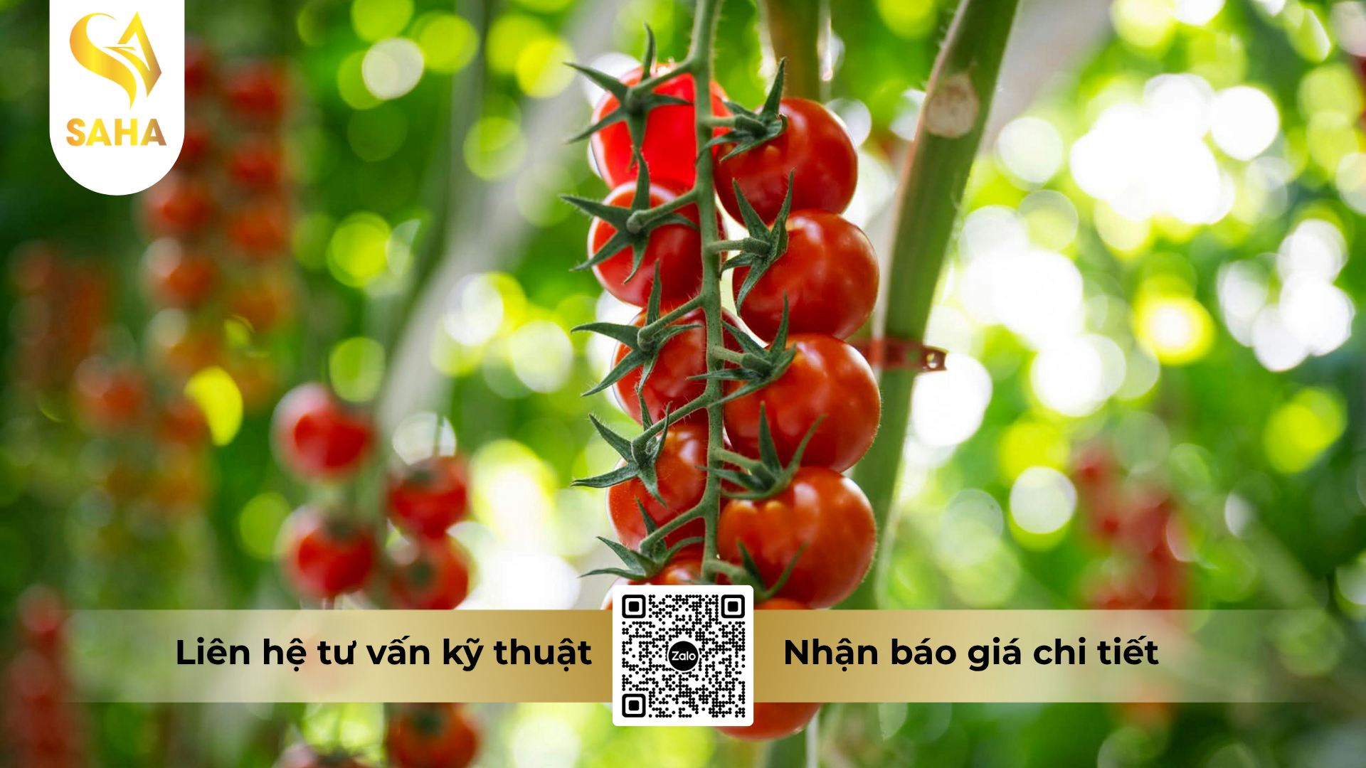 cong-dung-cua-phan-bon-la-omri-fish-amin-fish-uni-farm-hieu-f-amino-k-5l.png