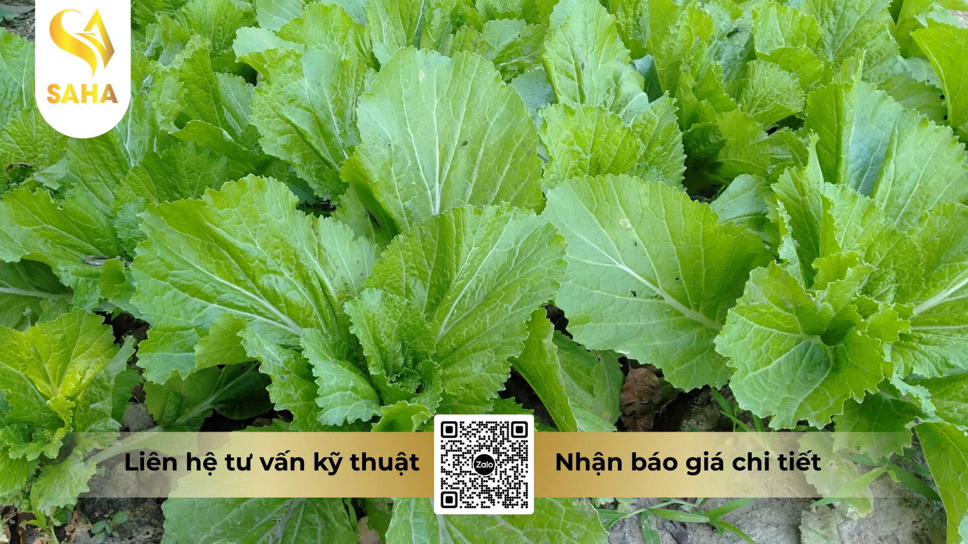 cong-dung-cua-phan-bon-la-omri-fish-amin-fish-uni-farm-hieu-f-amino-k-20l.png
