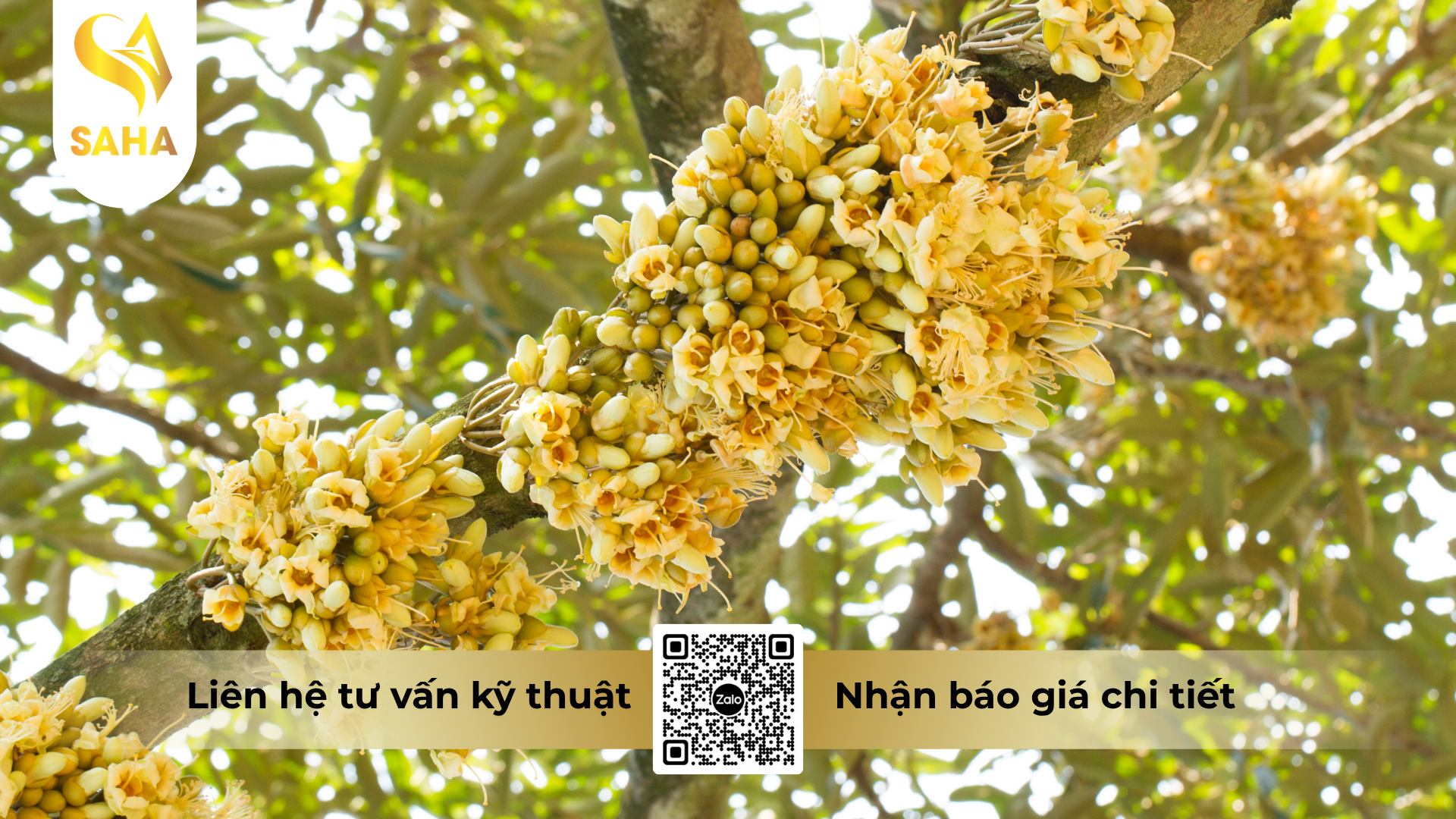 cau-hoi-thuong-gap-ve-phan-bon-vi-luong-senca-bortrust-l15.png