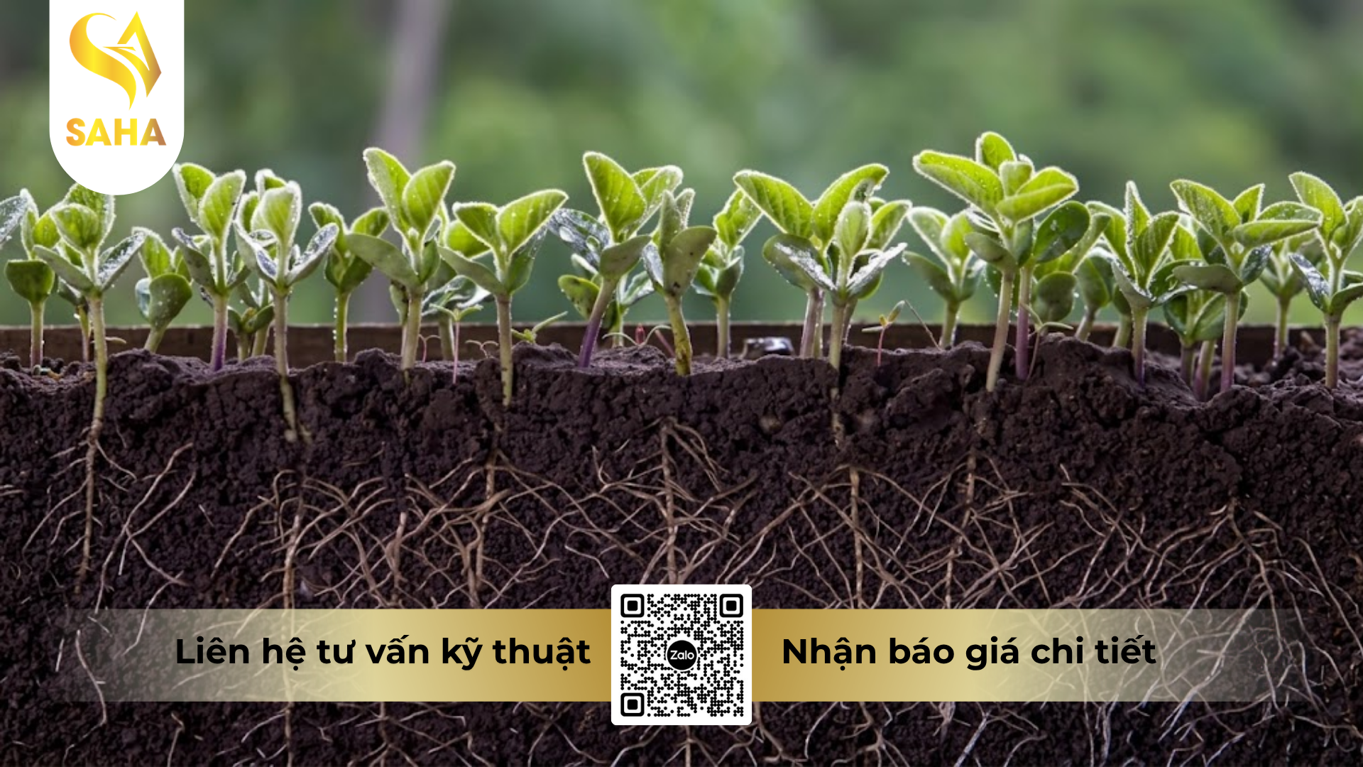 cong-dung-cua-phan-phan-bon-deltasol-standard-12-61-0.png