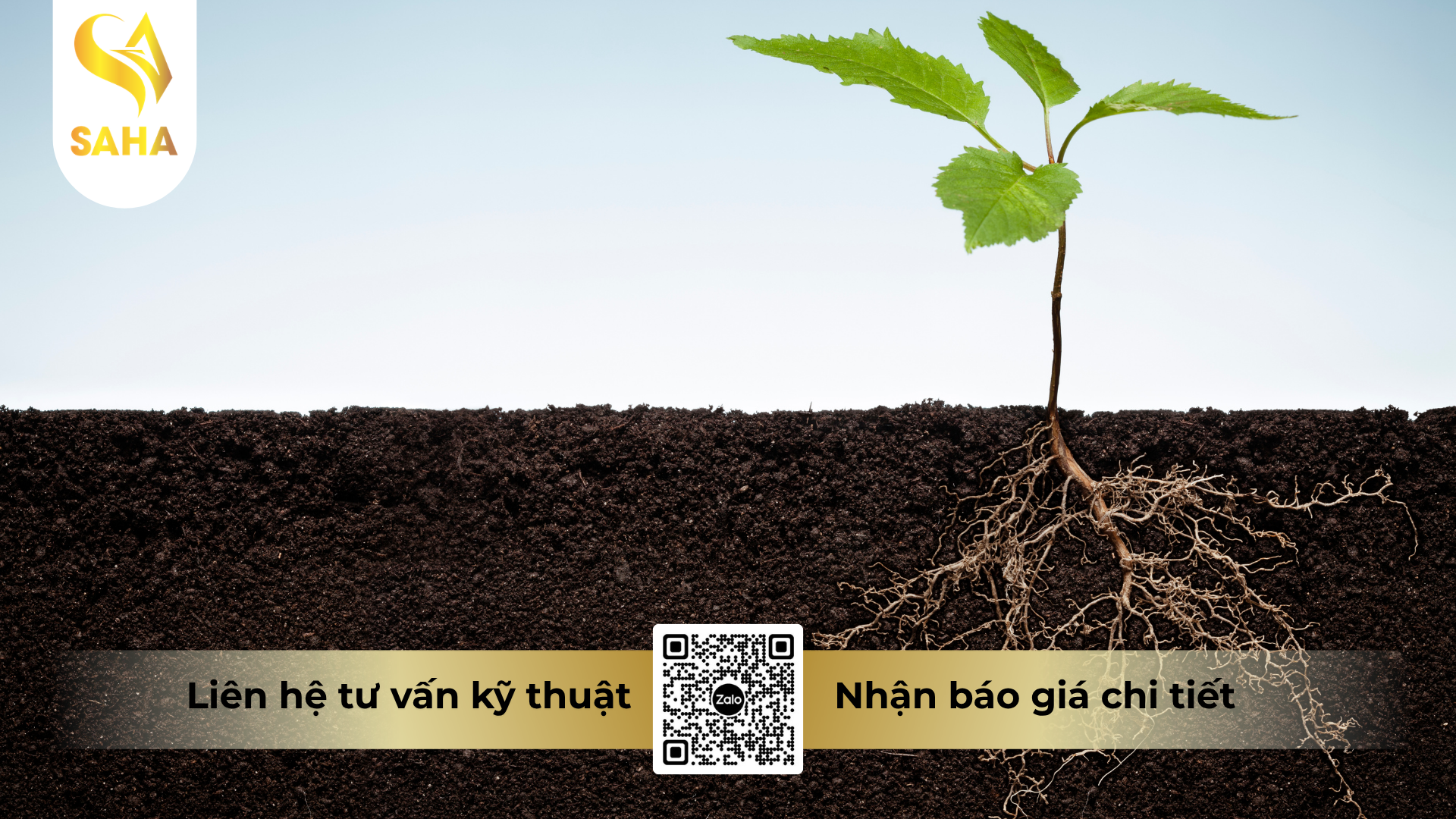 cau-hoi-thuong-gap-ve-phan-bon-deltasol-standard-12-61-0.png