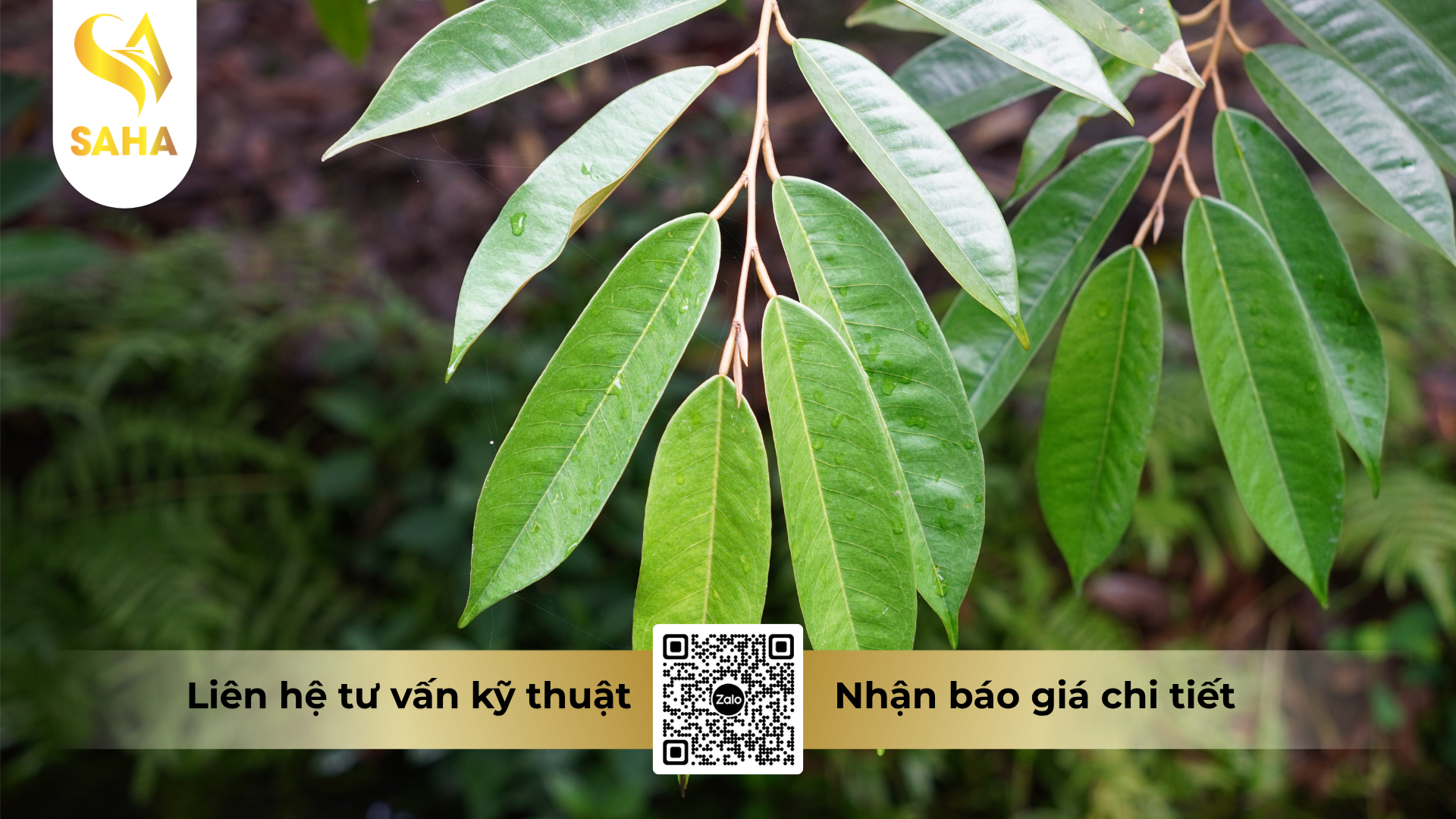 cong-dung-cua-phan-bon-vi-luong-abc-bobomic-hieu-chan-dot-thai.png