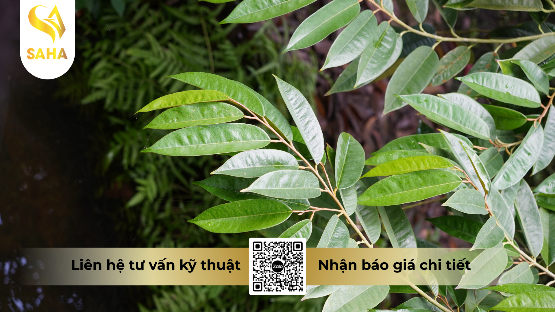 cau-hoi-thuong-gap-ve-phan-bon-vi-luong-abc-bobomic-hieu-chan-dot-thai.png