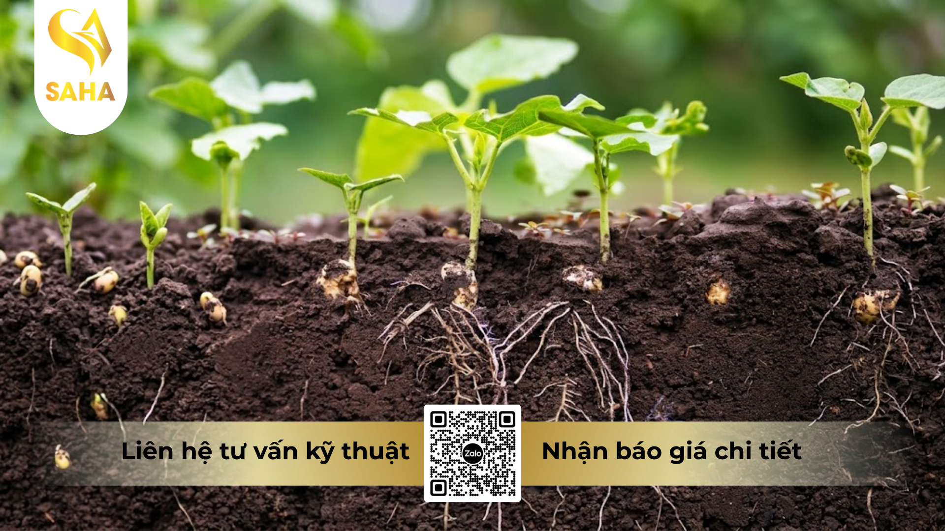 cong-dung-cua-phan-bon-abc-mkp-0-52-34.png
