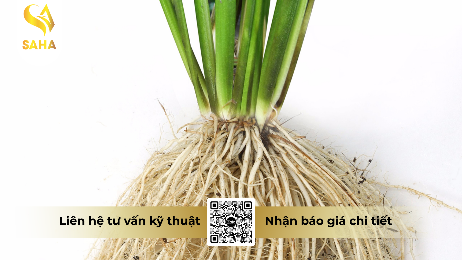 cau-hoi-thuong-gap-ve-phan-bon-abc-mkp-0-52-34.png