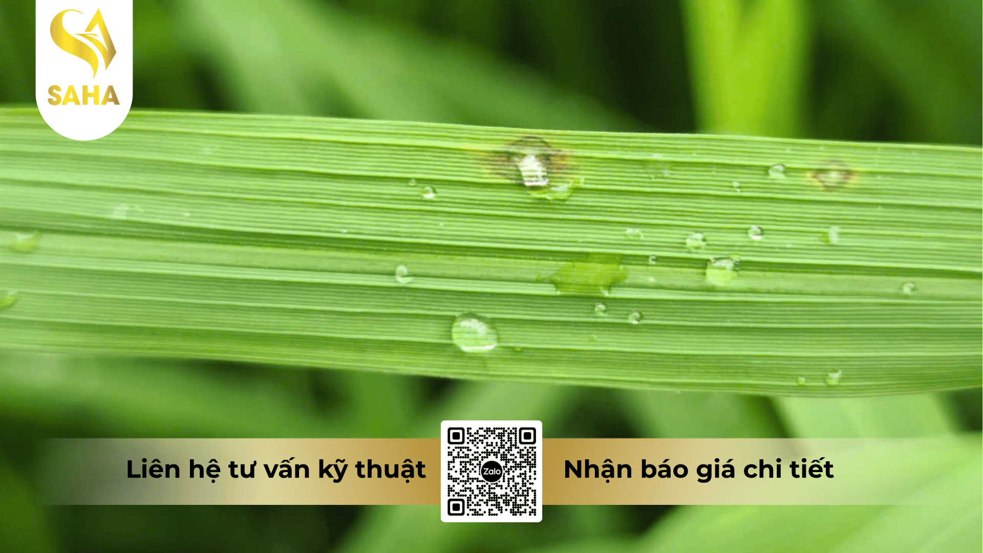 thong-tin-chung-thuoc-tru-benh-bidizole-750-wp.png