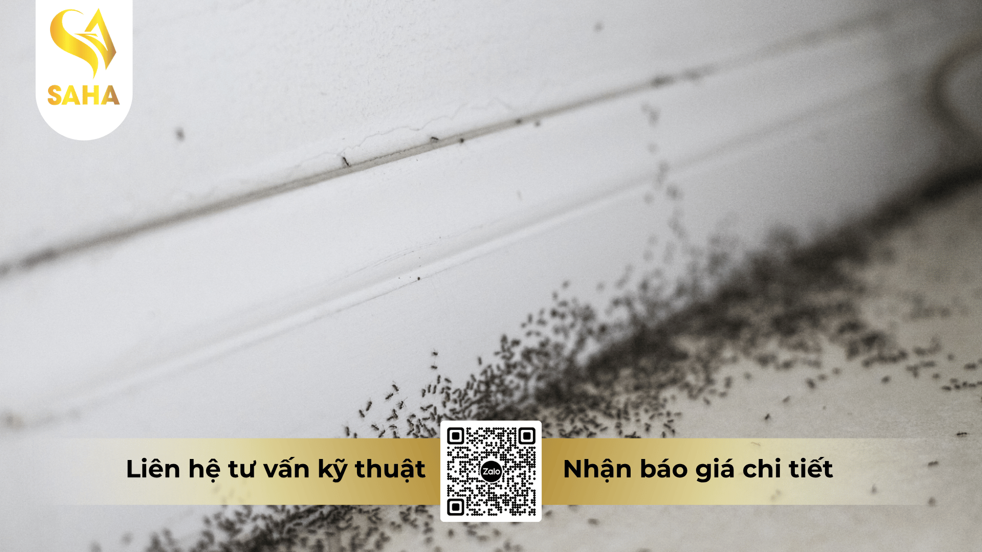 cau-hoi-thuong-gap.png