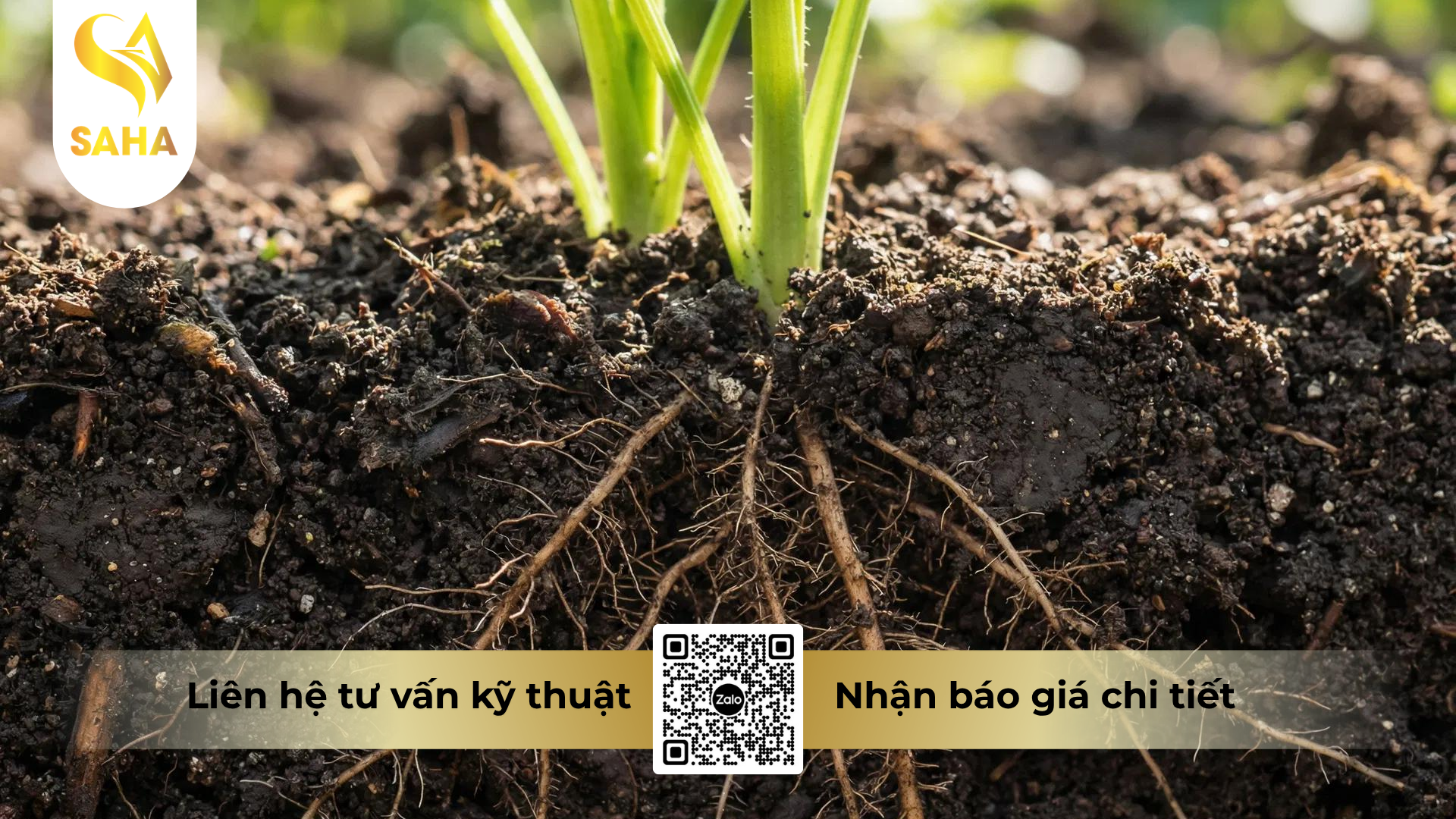 cong-dung-cua-phan-bon-ammonium-phosphate-12-61-0-korea.png