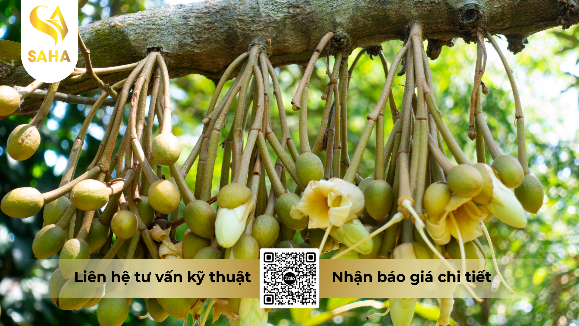 cau-hoi-thuong-gap-ve-phan-bon-superphosphat-kep-vot-hoa-vuong-pk-0-68-5.png