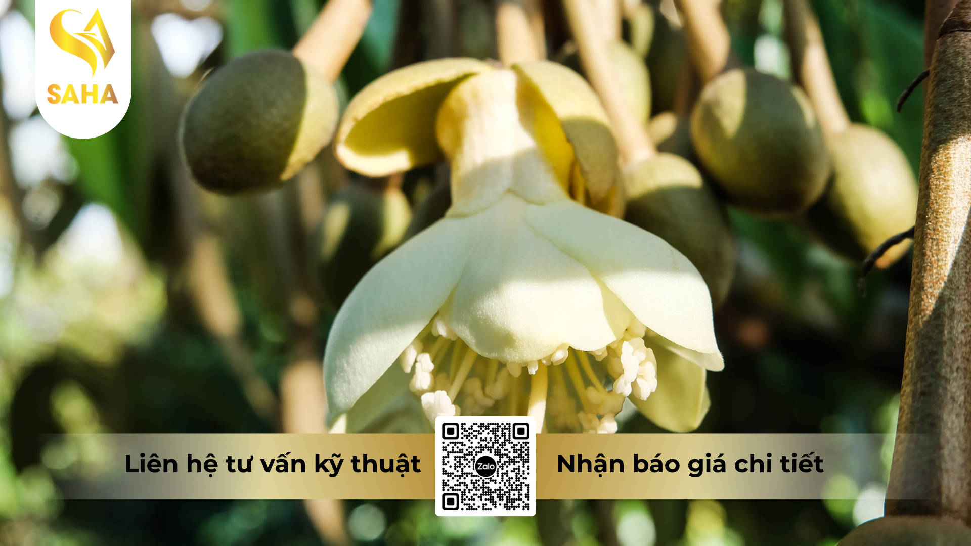 cong-dung-cua-phan-bon-superphosphat-kep-vot-hoa-vuong-pk-0-68-5.png