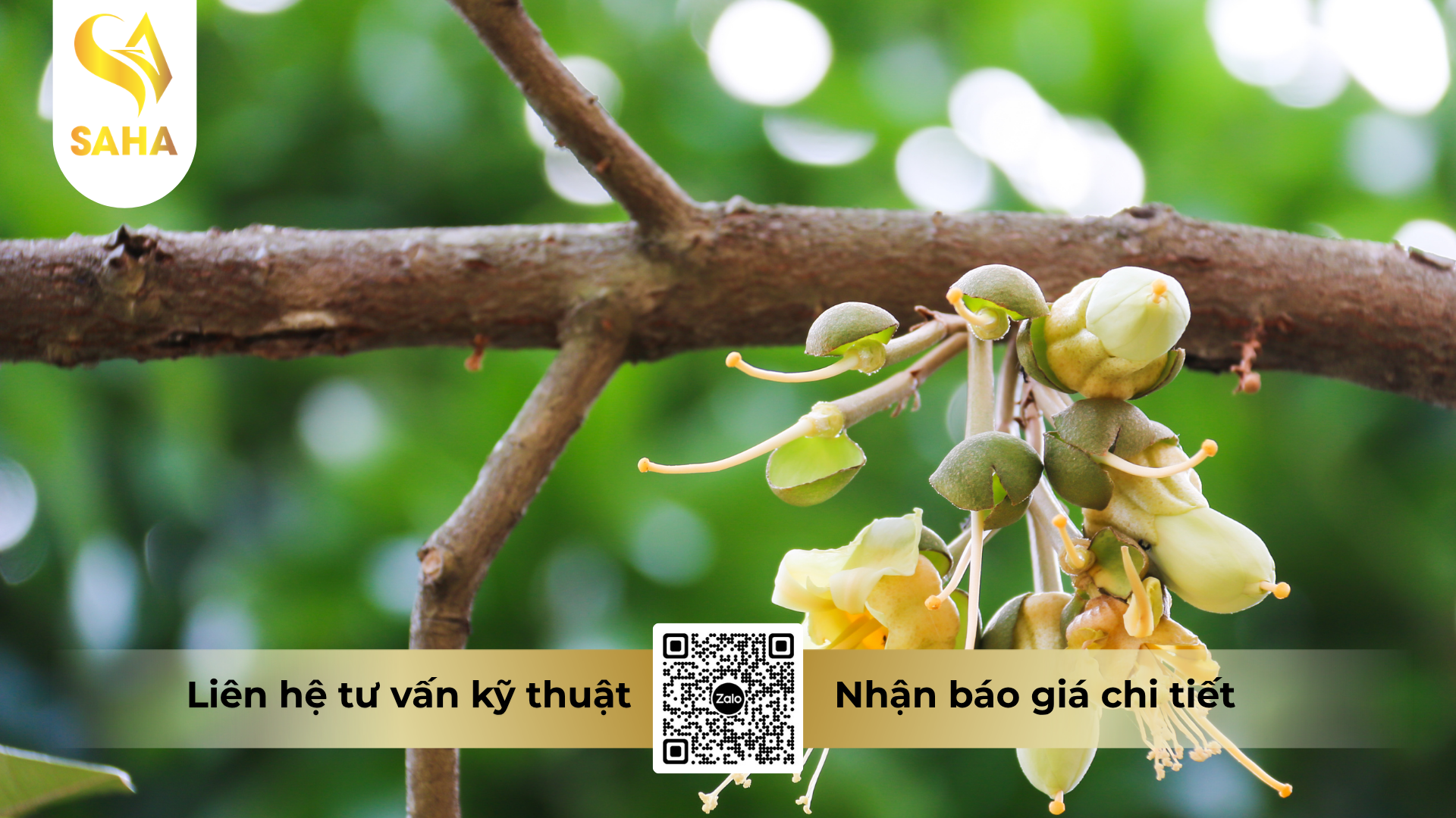 cau-hoi-thuong-gap-ve-phan-bon-haifa-mkp-0-52-34.png