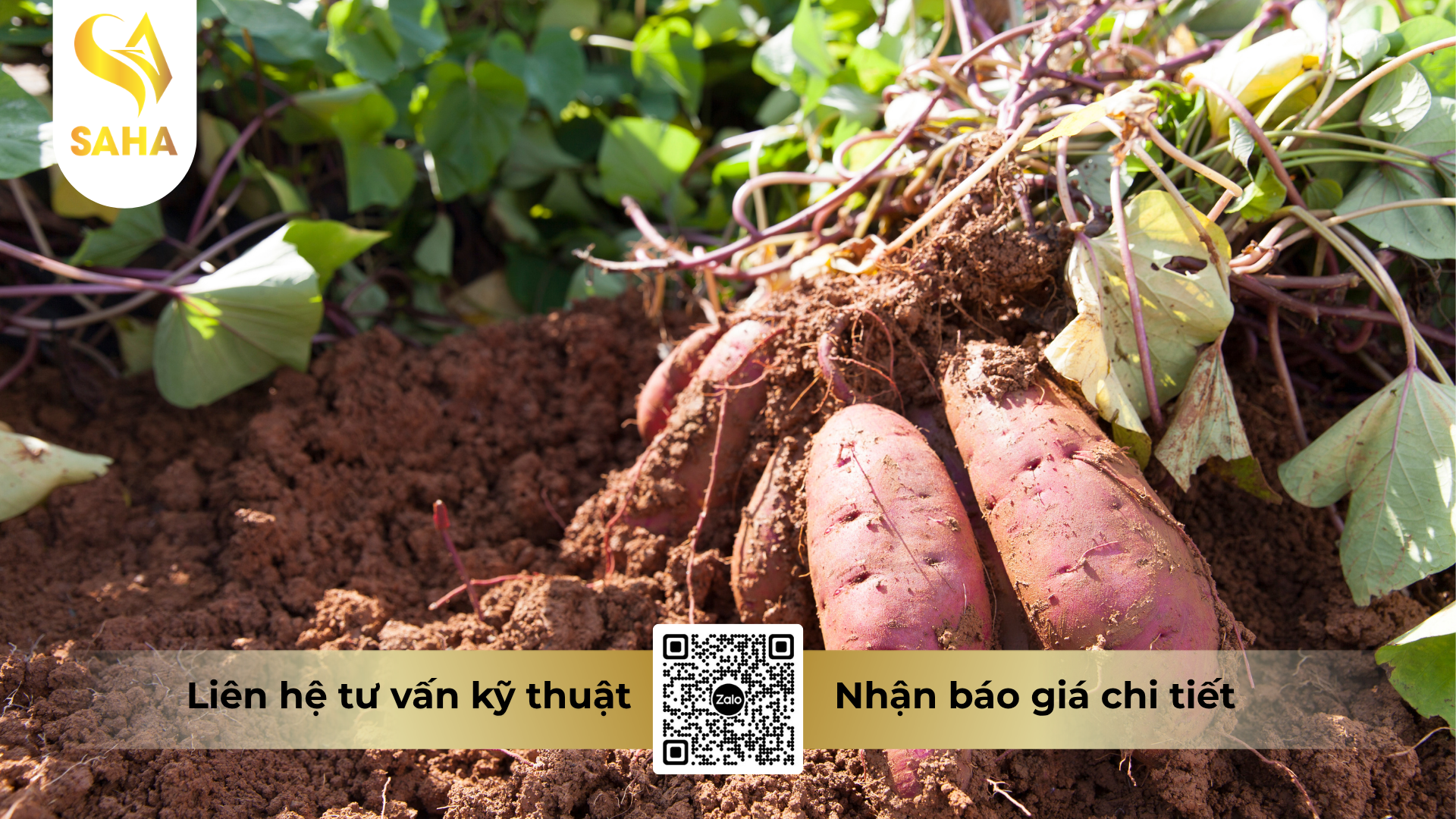 cong-dung-cua-phan-bon-la-nbc-gli-k47-hieu-k-rice-7-6-47-3s-zn-te.png