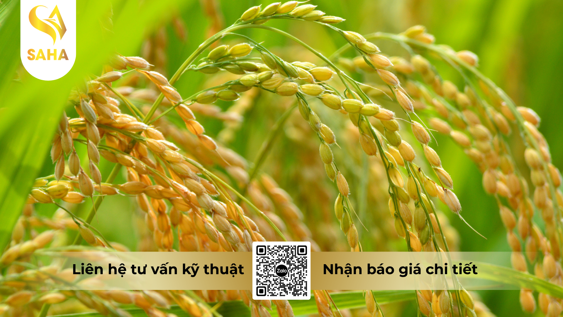 cau-hoi-thuong-gap-ve-phan-bon-la-nbc-gli-k47-hieu-k-rice-7-6-47-3s-zn-te.png