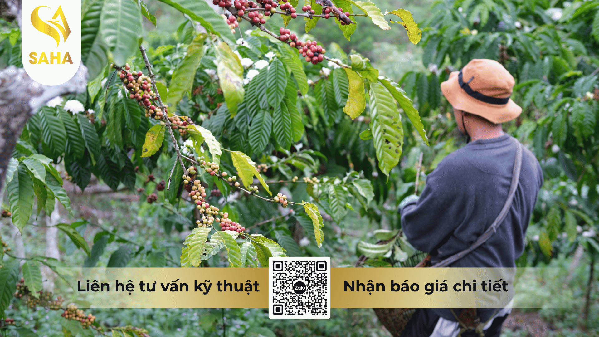 cau-hoi-thuong-gap.png