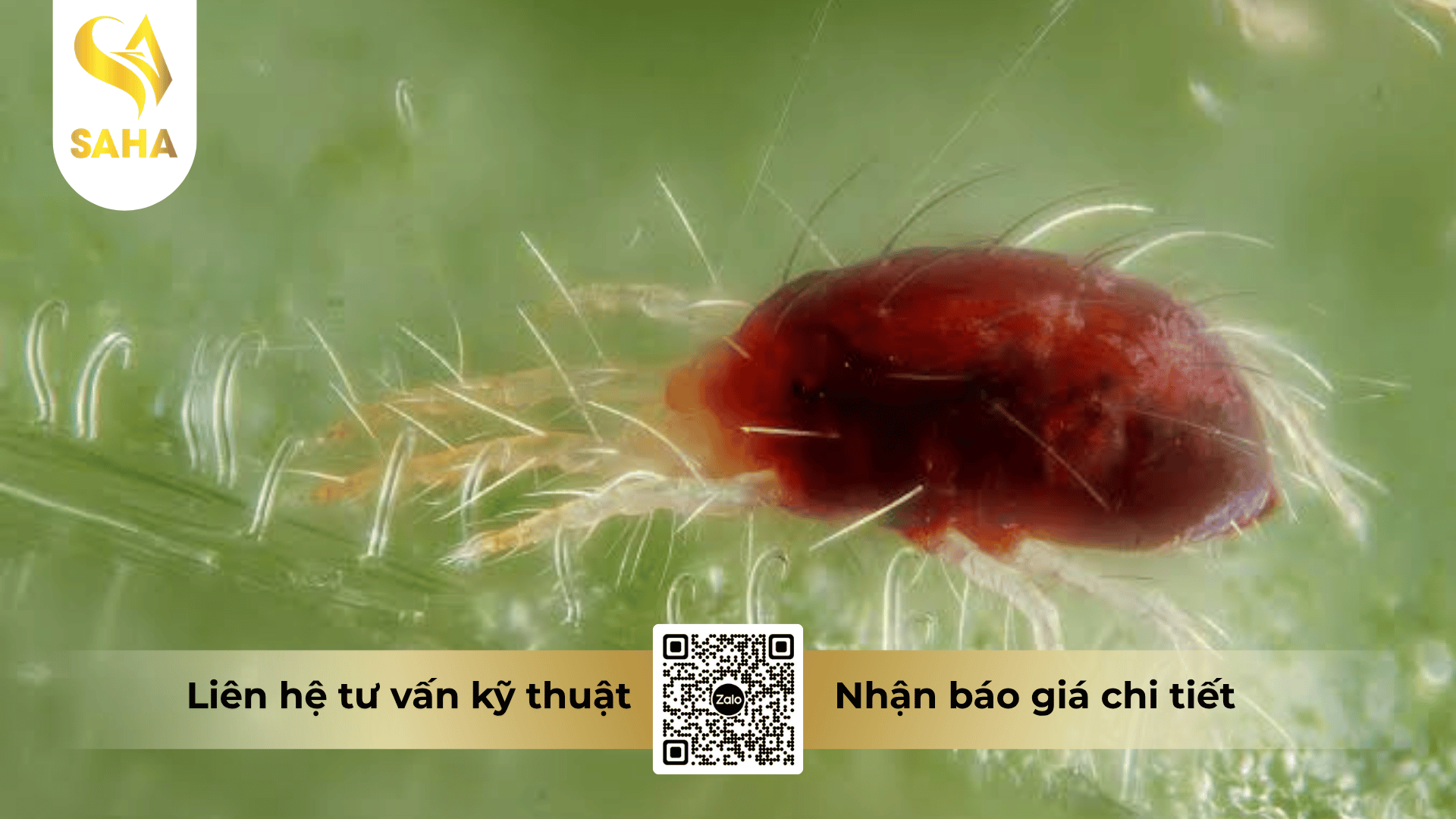 cong-dung-thuoc-tru-sau-billaden-50ec.png