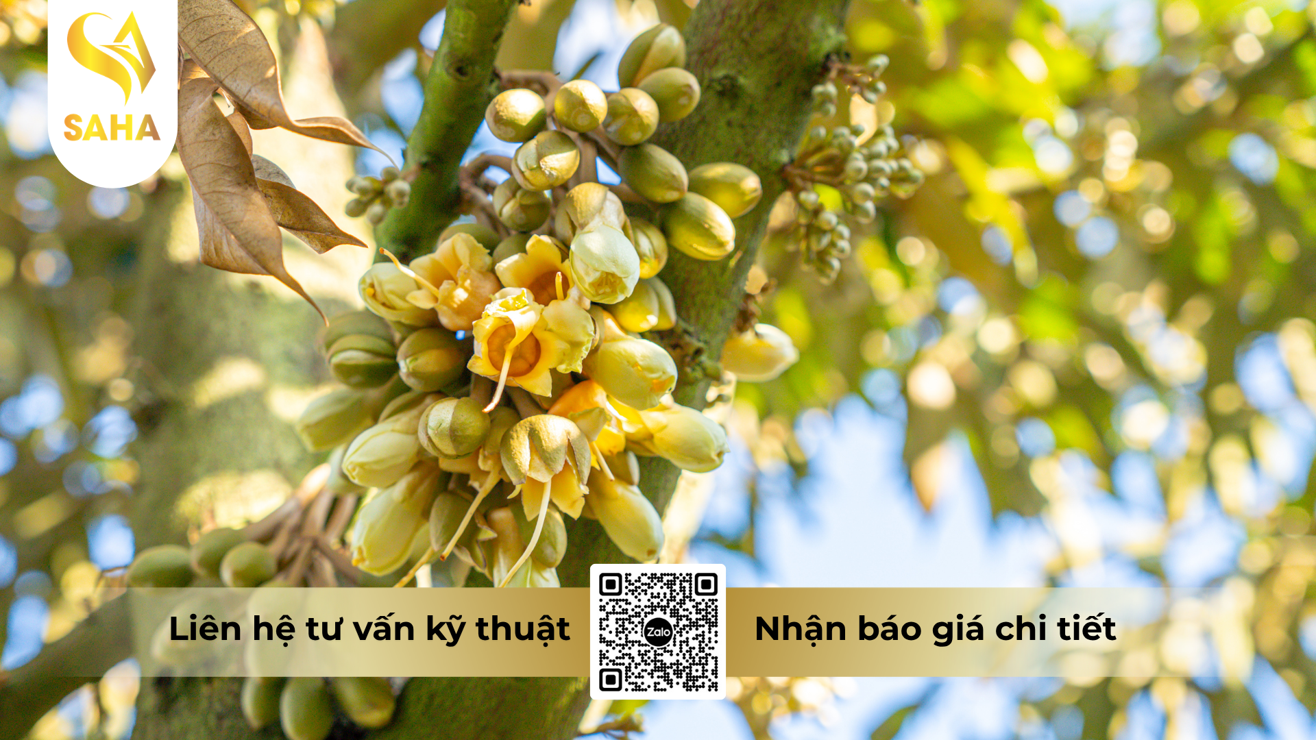 cau-hoi-thuong-gap-ve-phan-bon-la-nbc-gli-p30-hieu-klanfert-10-30-25-mg-zn-te.png