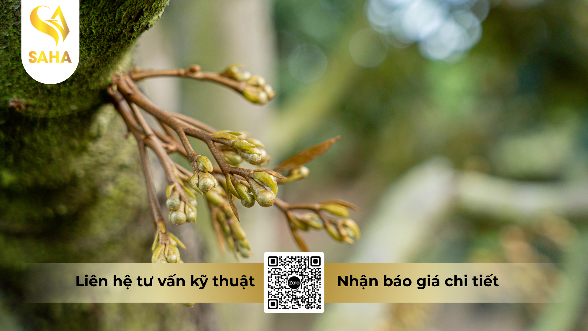 cong-dung-cua-phan-bon-la-npk-10-55-10-kn-hieu-f-sop-te.png